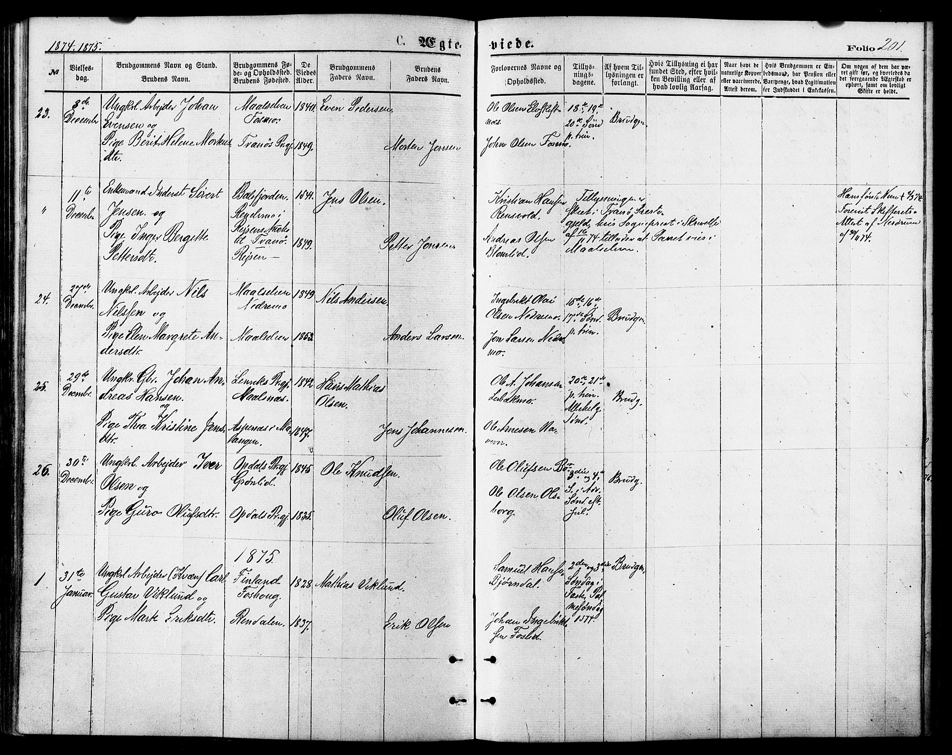 Målselv sokneprestembete, AV/SATØ-S-1311/G/Ga/Gaa/L0005kirke: Ministerialbok nr. 5, 1872-1884, s. 201