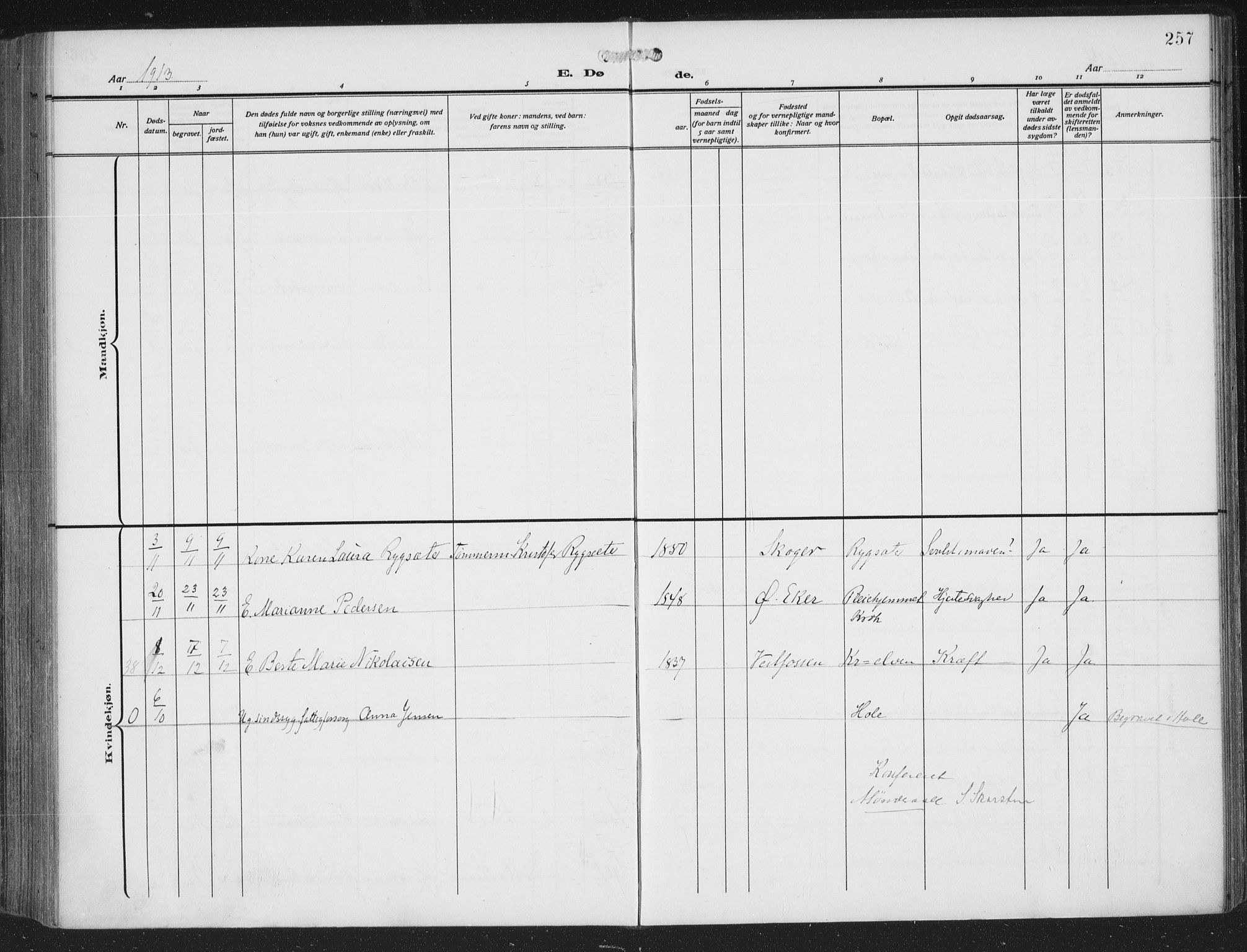 Nedre Eiker kirkebøker, AV/SAKO-A-612/F/Fa/L0007: Ministerialbok nr. 7, 1912-1918, s. 257