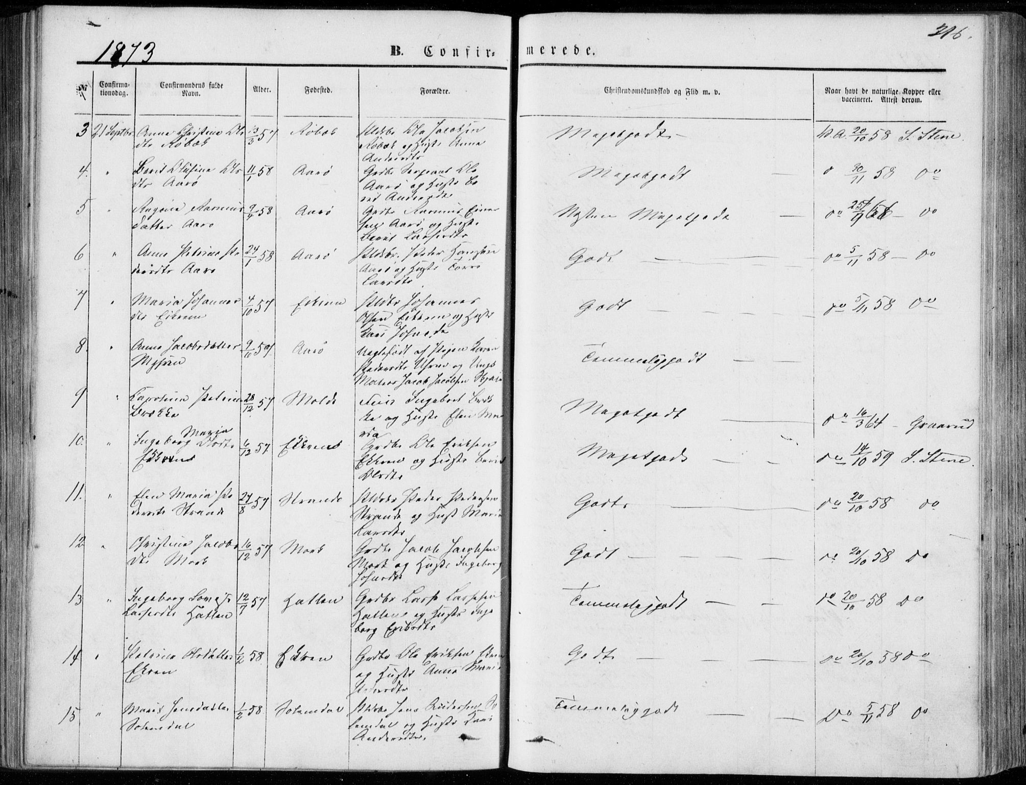 Ministerialprotokoller, klokkerbøker og fødselsregistre - Møre og Romsdal, AV/SAT-A-1454/555/L0655: Ministerialbok nr. 555A05, 1869-1886, s. 216