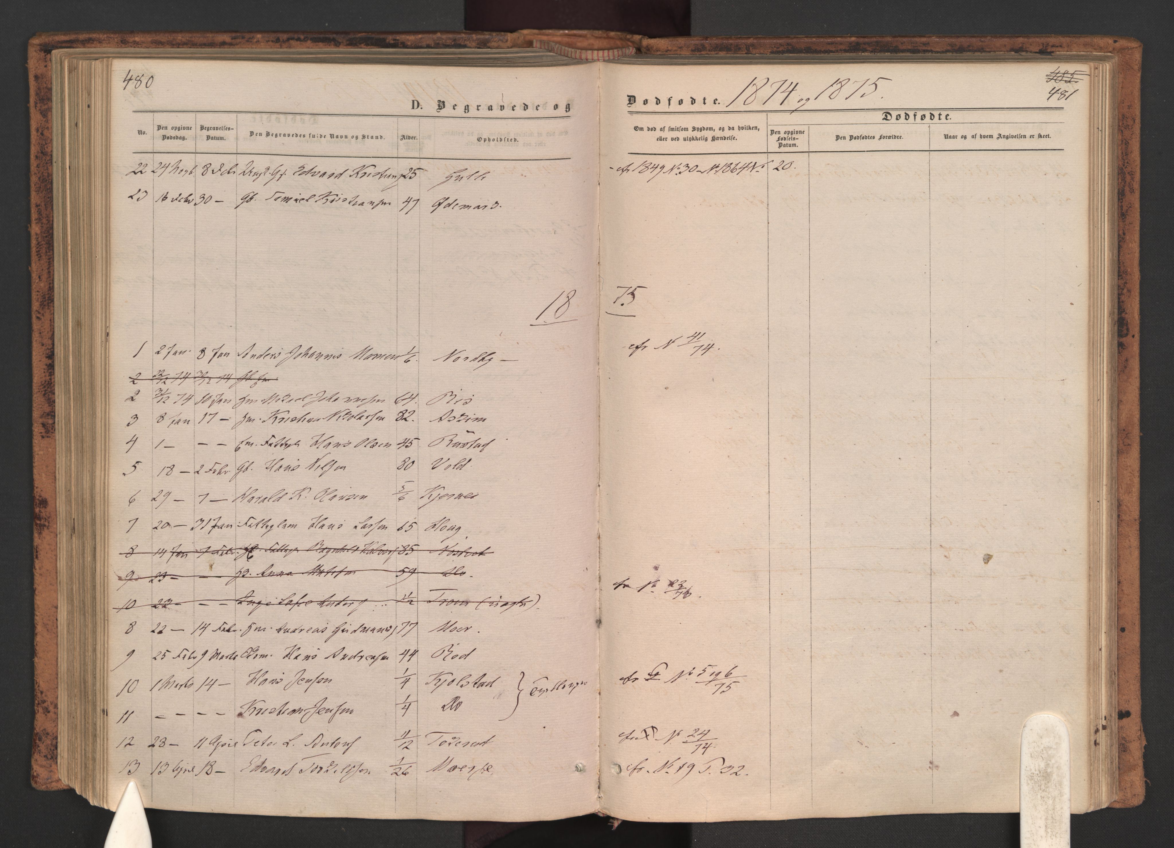 Ås prestekontor Kirkebøker, AV/SAO-A-10894/F/Fa/L0008: Ministerialbok nr. I 8, 1871-1880, s. 480-481
