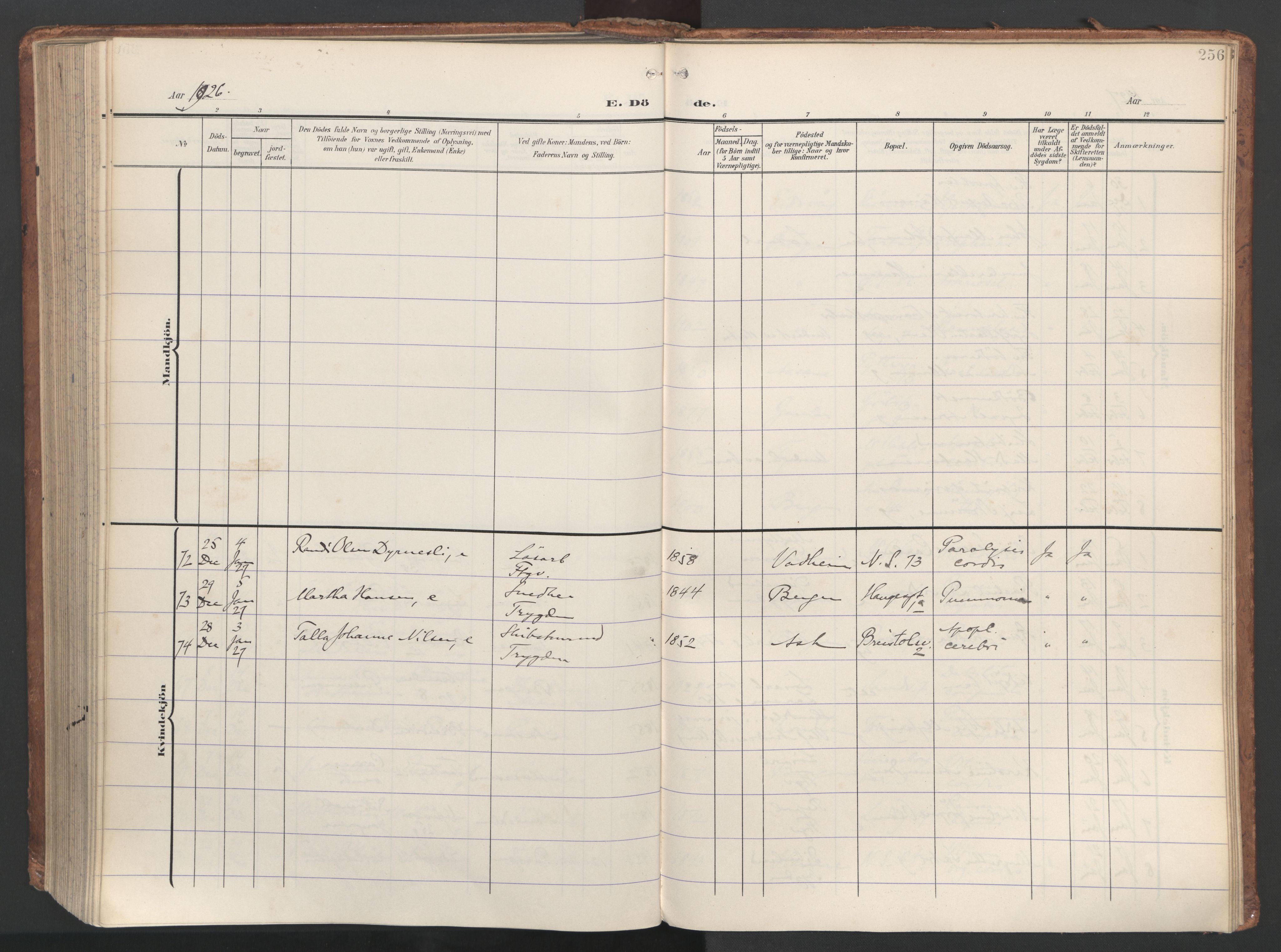 Sandviken Sokneprestembete, AV/SAB-A-77601/H/Ha/L0019: Ministerialbok nr. E 2, 1905-1933, s. 256