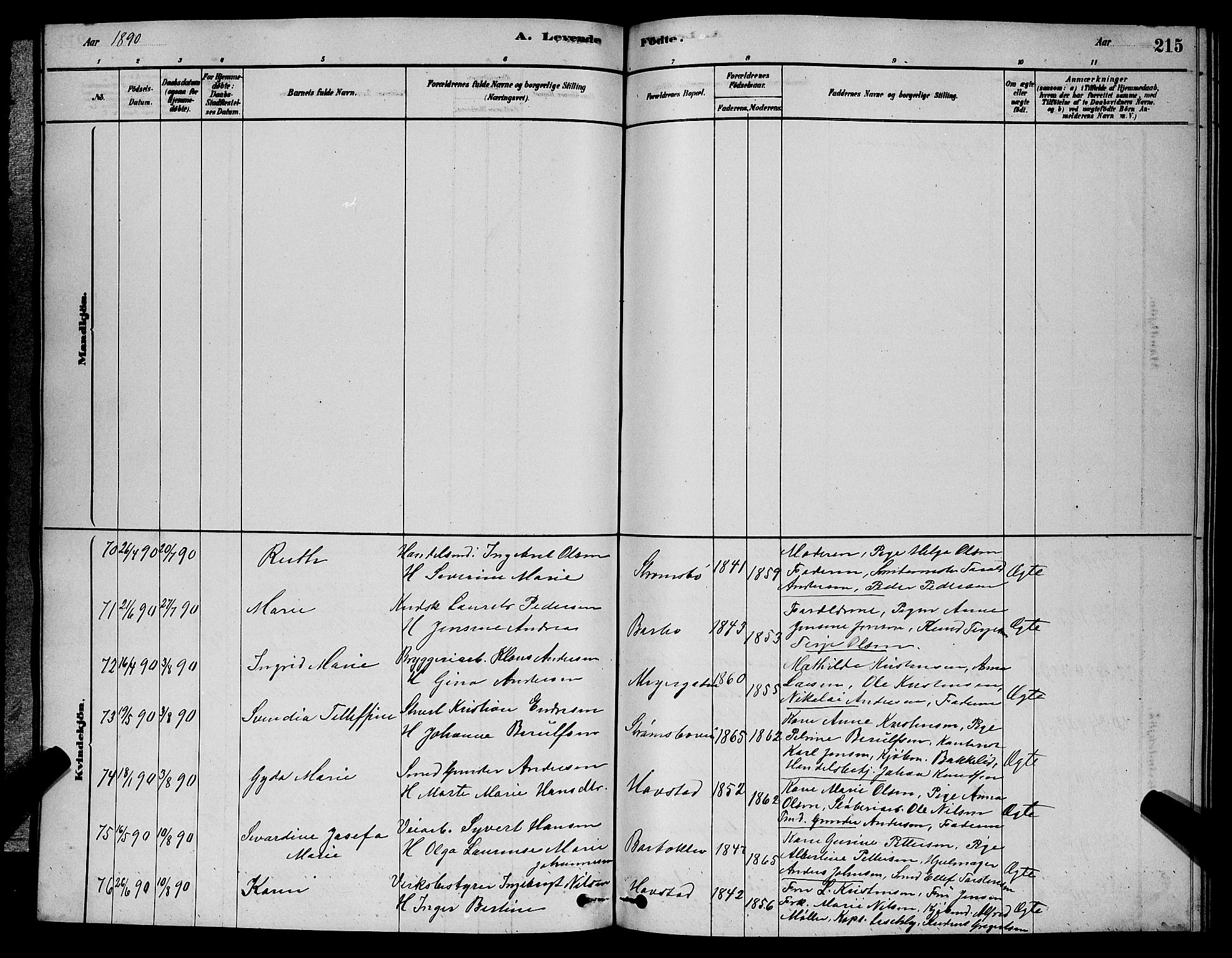 Barbu sokneprestkontor, AV/SAK-1111-0003/F/Fb/L0001: Klokkerbok nr. B 1, 1878-1890, s. 215