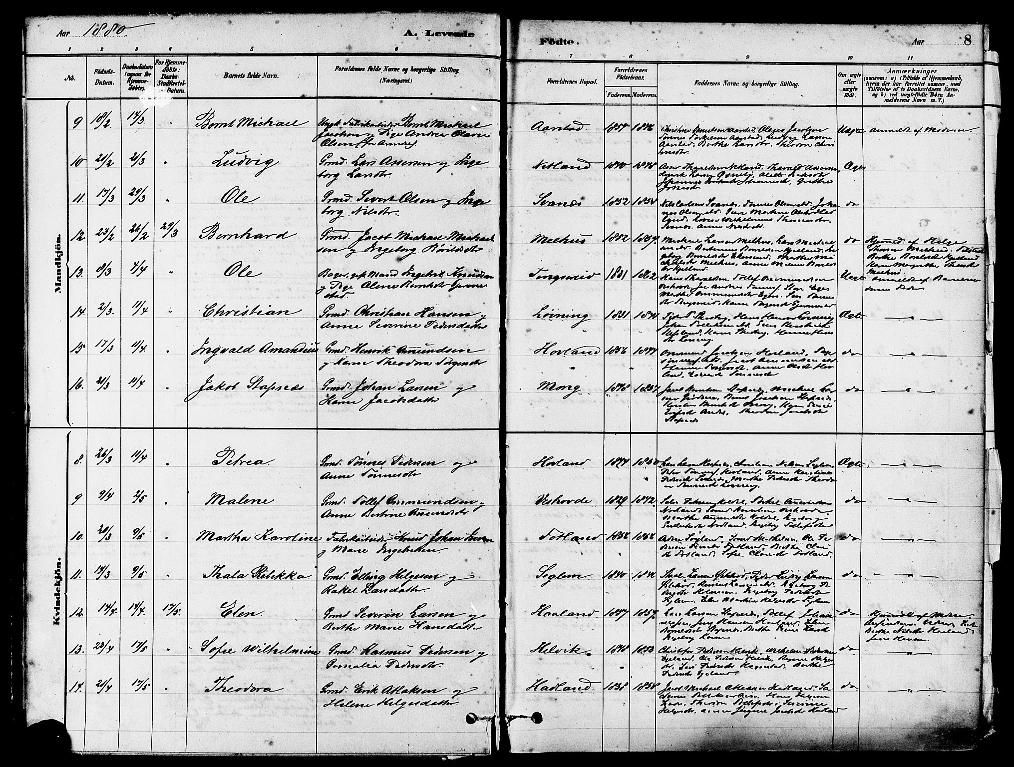 Eigersund sokneprestkontor, AV/SAST-A-101807/S08/L0017: Ministerialbok nr. A 14, 1879-1892, s. 8