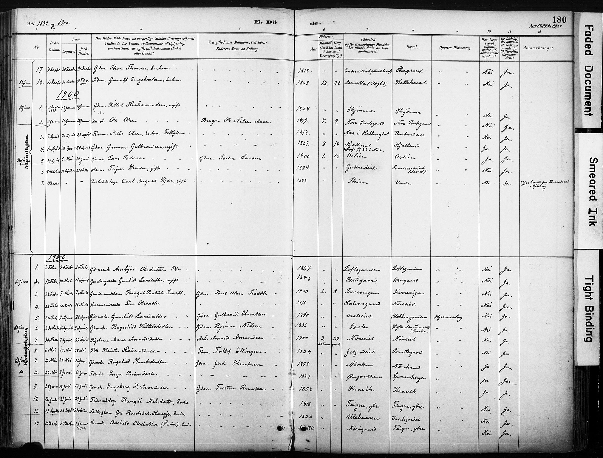 Nore kirkebøker, AV/SAKO-A-238/F/Fb/L0002: Ministerialbok nr. II 2, 1886-1906, s. 180