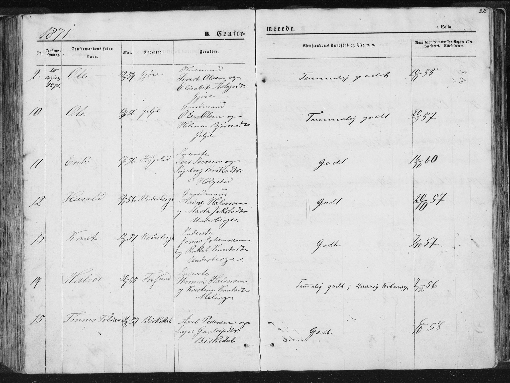 Høgsfjord sokneprestkontor, SAST/A-101624/H/Ha/Haa/L0001: Ministerialbok nr. A 1, 1854-1875, s. 213