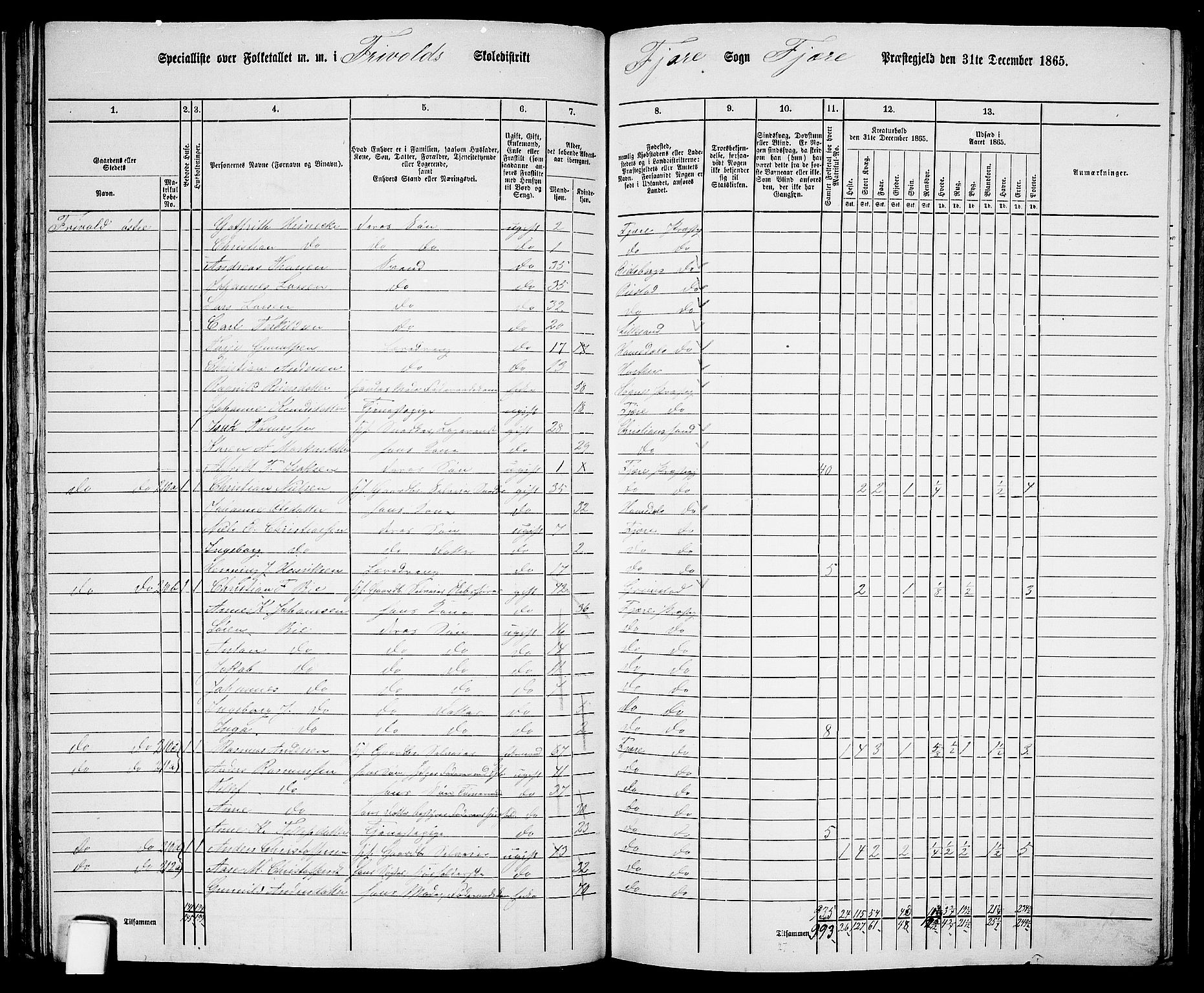 RA, Folketelling 1865 for 0923L Fjære prestegjeld, Fjære sokn, 1865, s. 47