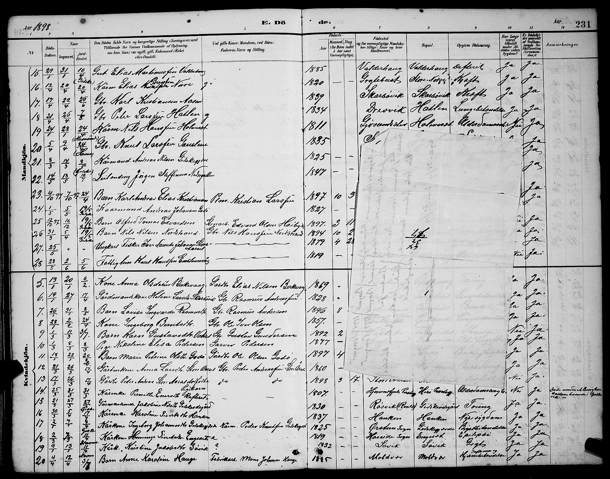 Ministerialprotokoller, klokkerbøker og fødselsregistre - Møre og Romsdal, SAT/A-1454/528/L0430: Klokkerbok nr. 528C11, 1884-1899, s. 231