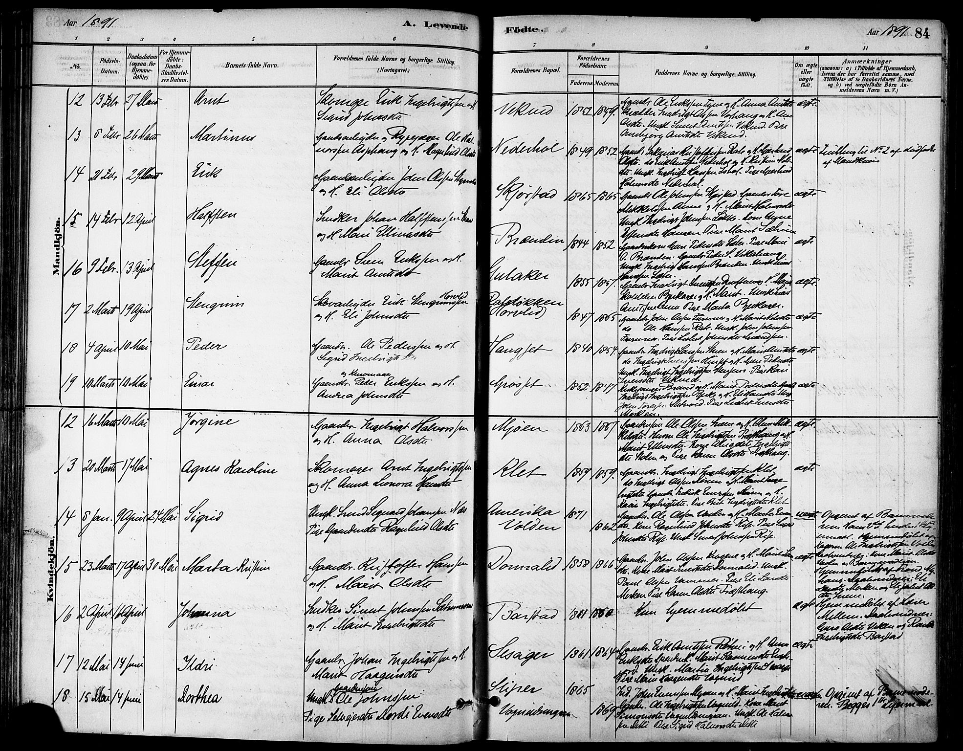 Ministerialprotokoller, klokkerbøker og fødselsregistre - Sør-Trøndelag, SAT/A-1456/678/L0901: Ministerialbok nr. 678A10, 1881-1894, s. 84