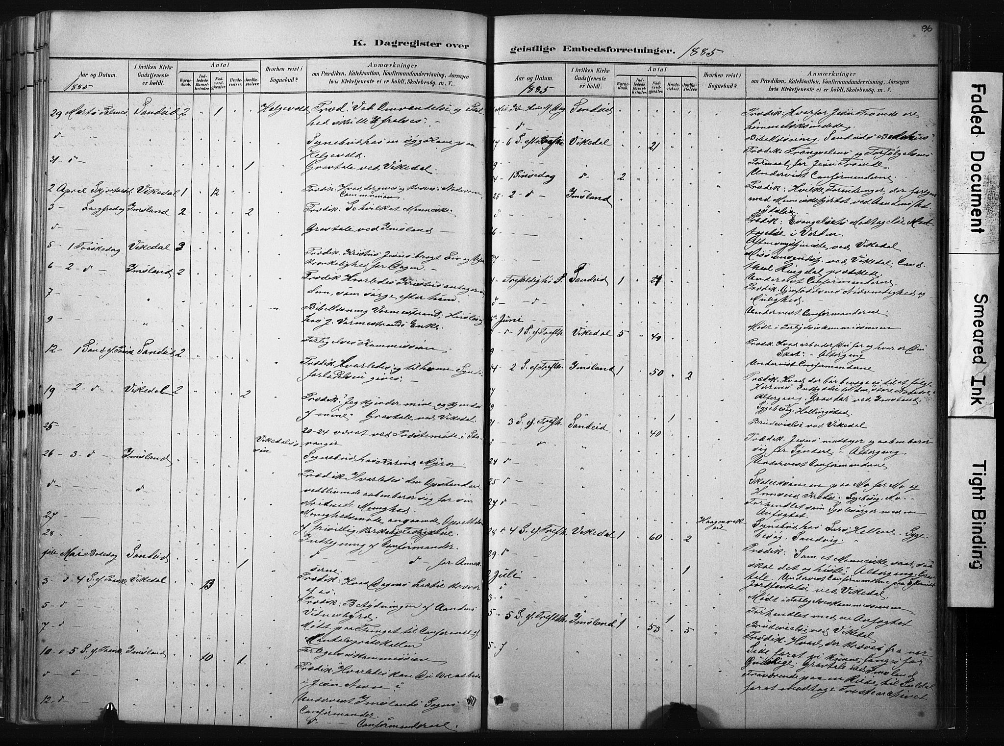 Vikedal sokneprestkontor, AV/SAST-A-101840/01/IV: Ministerialbok nr. A 10, 1884-1907, s. 196