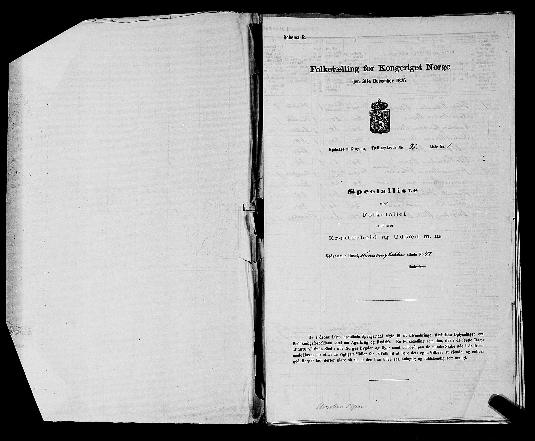 SAKO, Folketelling 1875 for 0801P Kragerø prestegjeld, 1875, s. 805