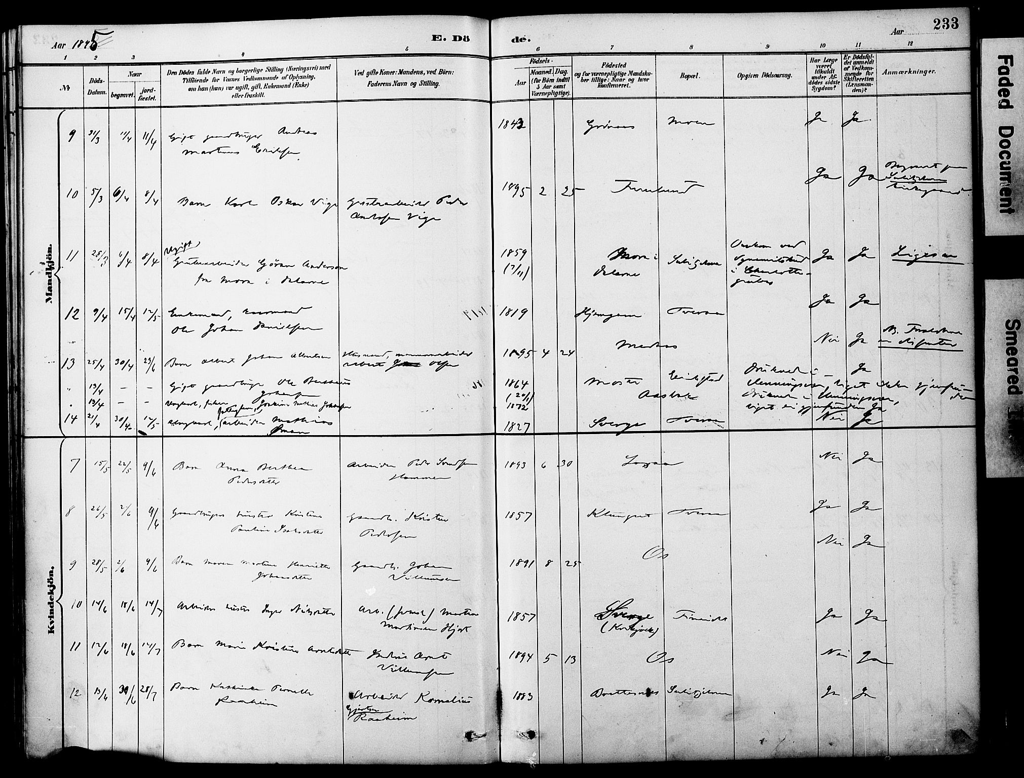 Ministerialprotokoller, klokkerbøker og fødselsregistre - Nordland, AV/SAT-A-1459/849/L0690: Ministerialbok nr. 849A02, 1890-1897, s. 233