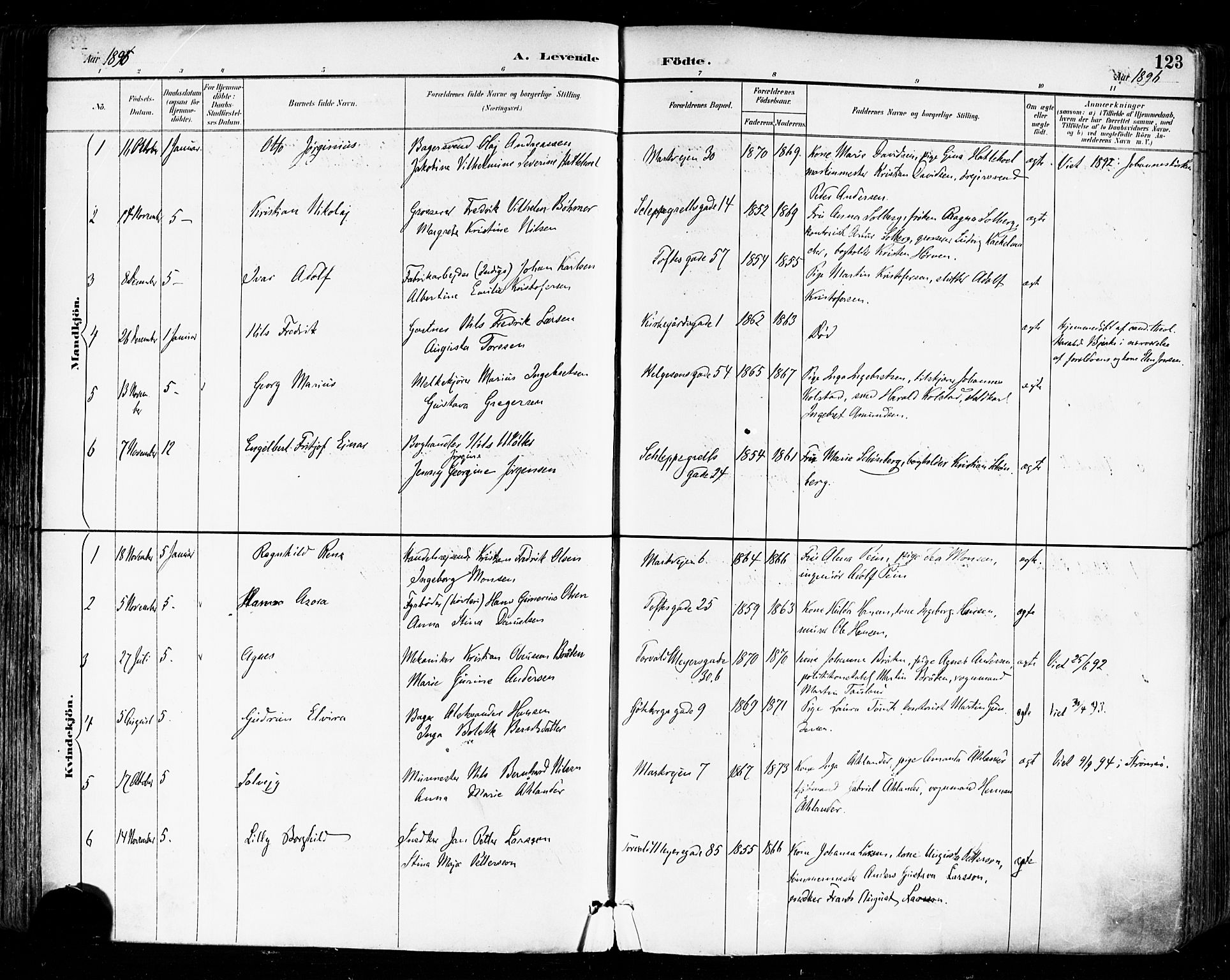 Paulus prestekontor Kirkebøker, AV/SAO-A-10871/F/Fa/L0014: Ministerialbok nr. 14, 1894-1902, s. 123