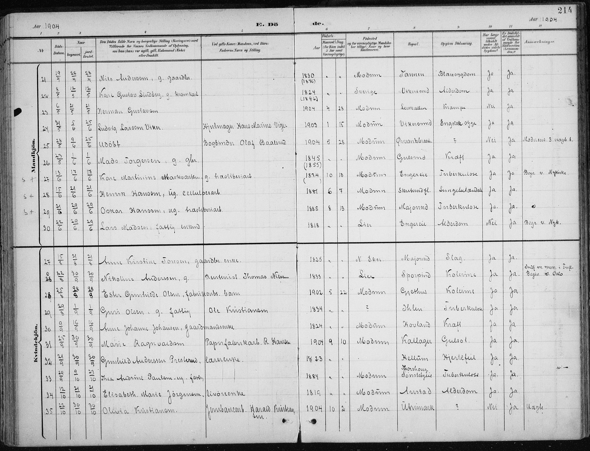 Modum kirkebøker, AV/SAKO-A-234/F/Fa/L0013: Ministerialbok nr. 13, 1899-1907, s. 214