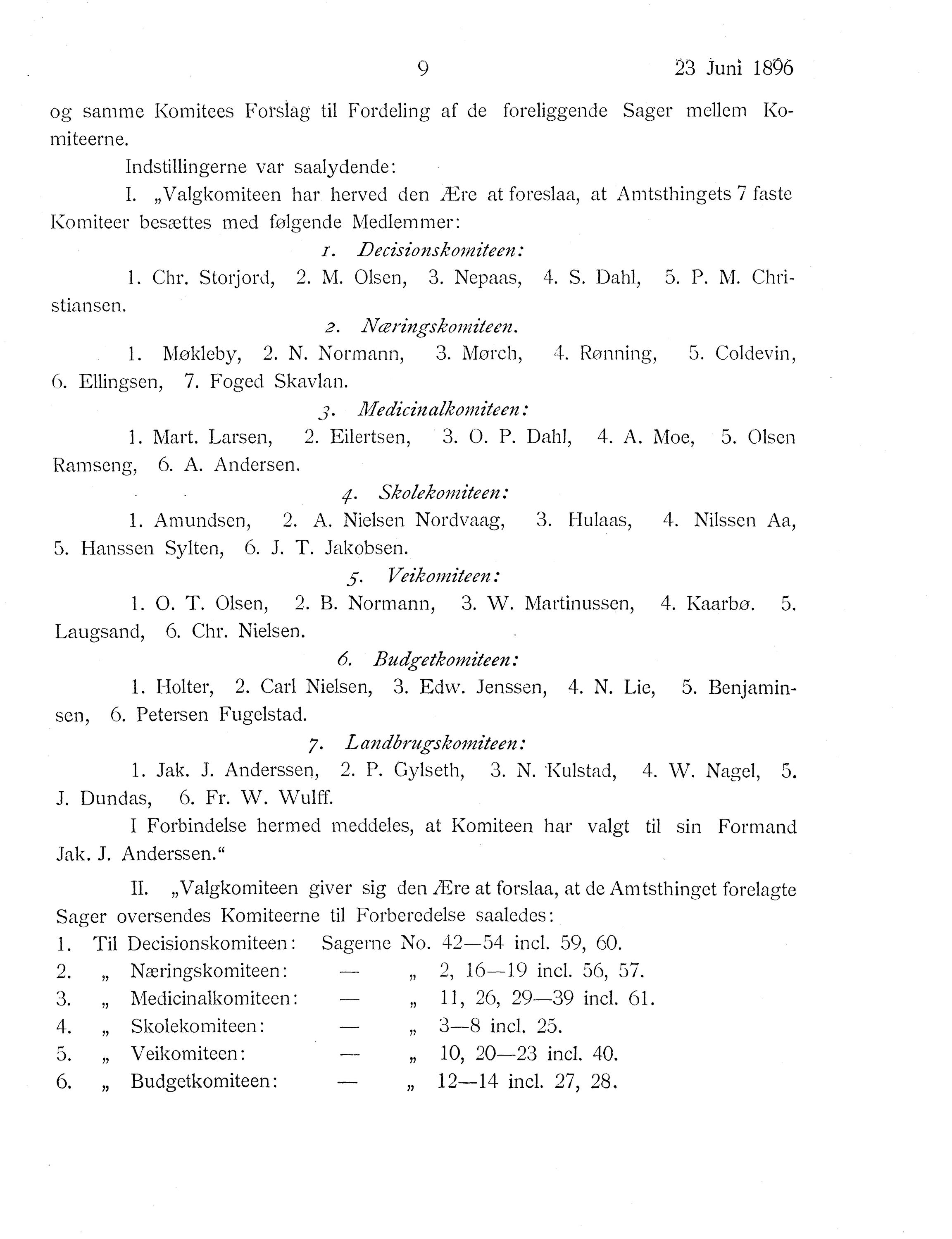 Nordland Fylkeskommune. Fylkestinget, AIN/NFK-17/176/A/Ac/L0019: Fylkestingsforhandlinger 1896, 1896