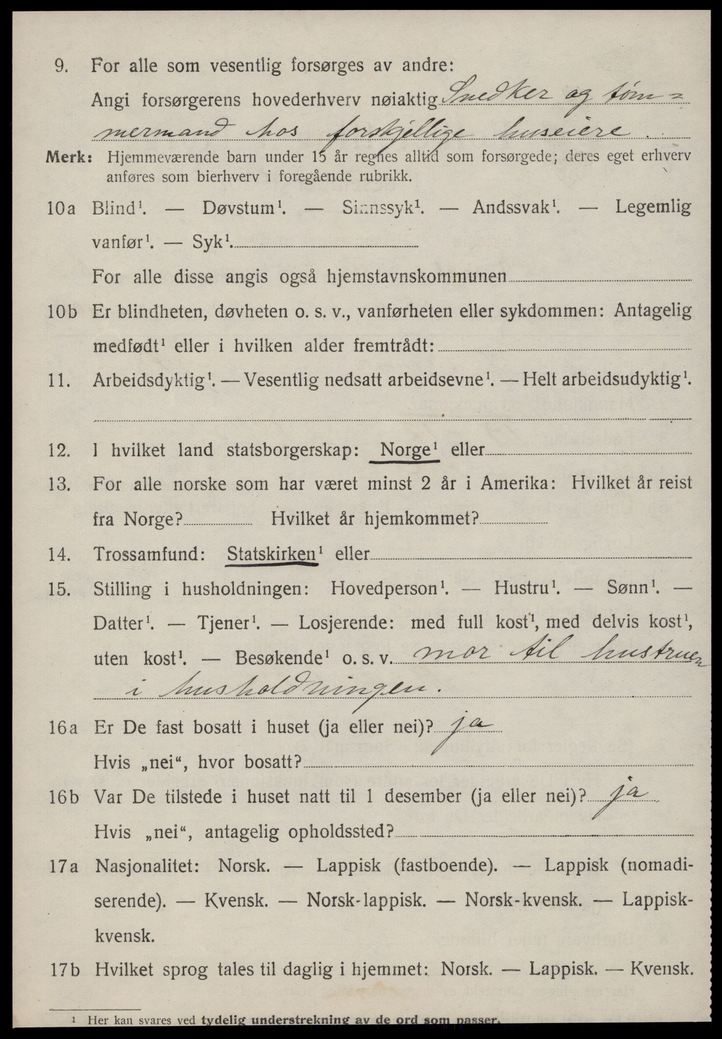 SAT, Folketelling 1920 for 1640 Røros herred, 1920, s. 6051