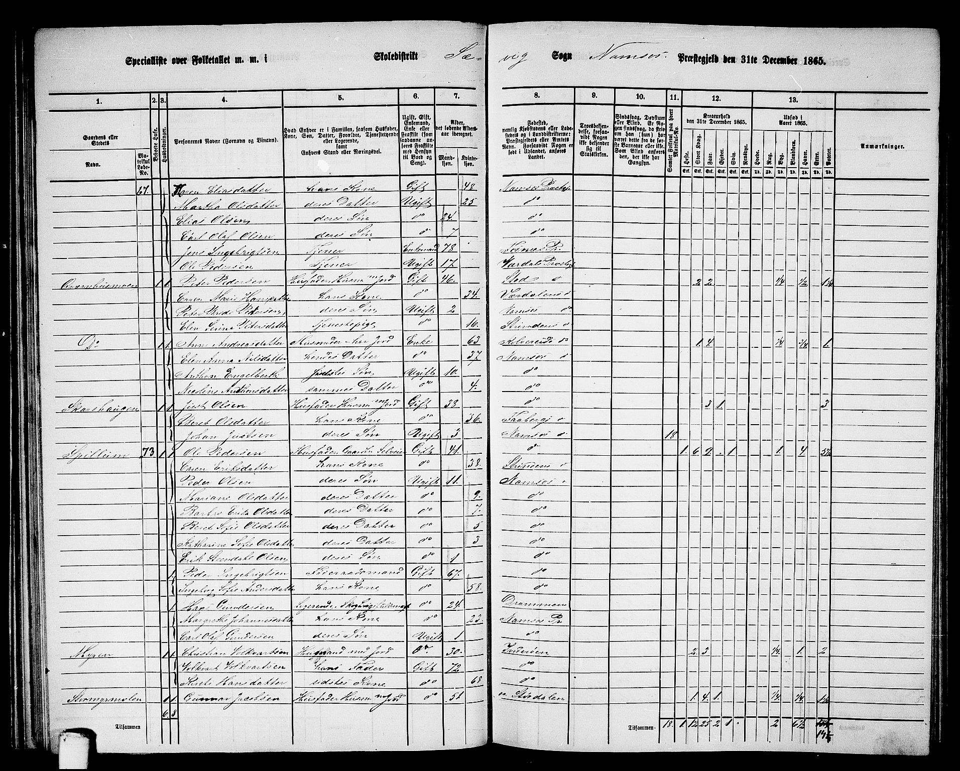 RA, Folketelling 1865 for 1745L Namsos prestegjeld, Vemundvik sokn og Sævik sokn, 1865, s. 51