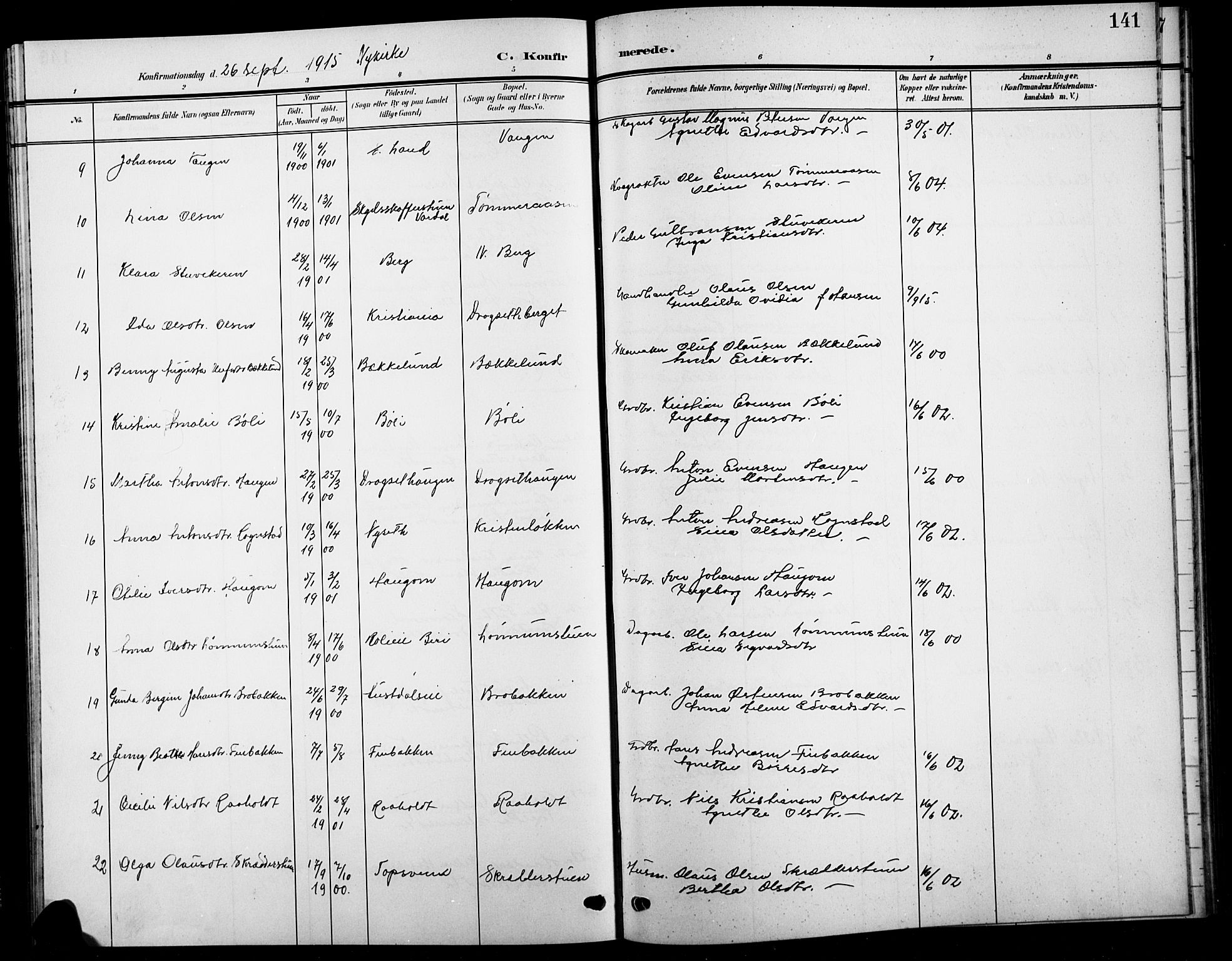 Biri prestekontor, AV/SAH-PREST-096/H/Ha/Hab/L0005: Klokkerbok nr. 5, 1906-1919, s. 141