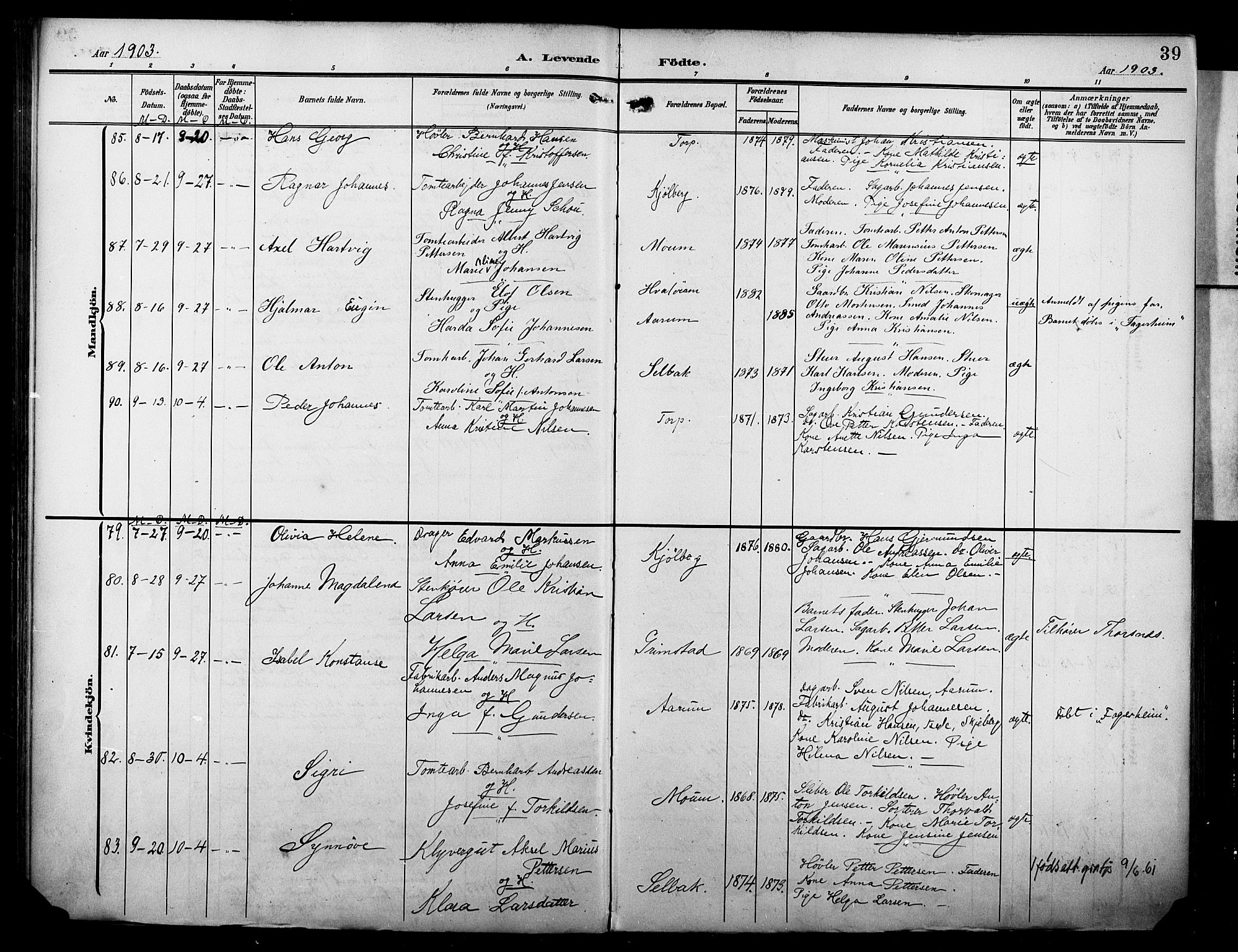 Borge prestekontor Kirkebøker, AV/SAO-A-10903/F/Fa/L0009: Ministerialbok nr. I 9, 1902-1911, s. 39