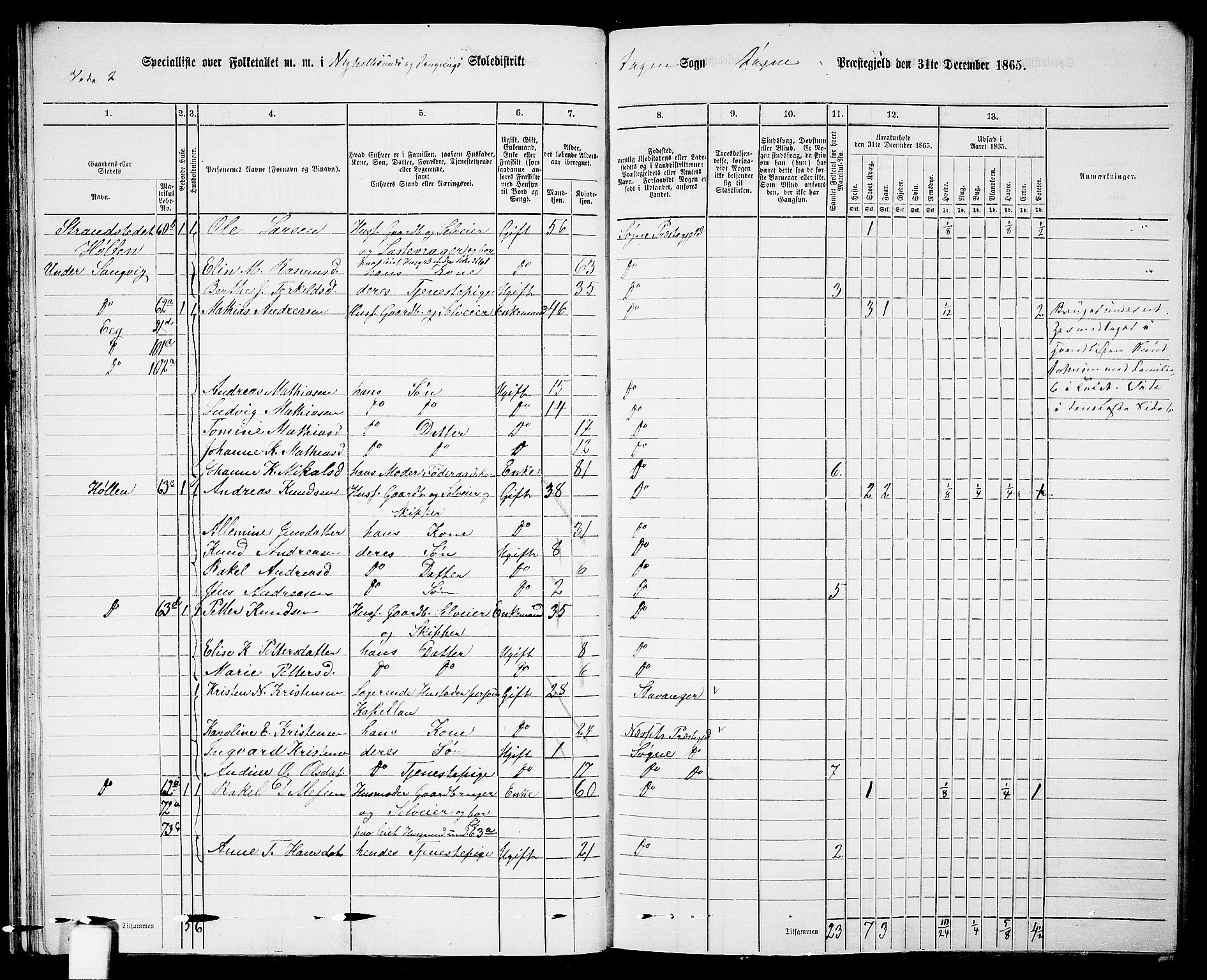 RA, Folketelling 1865 for 1018P Søgne prestegjeld, 1865, s. 51