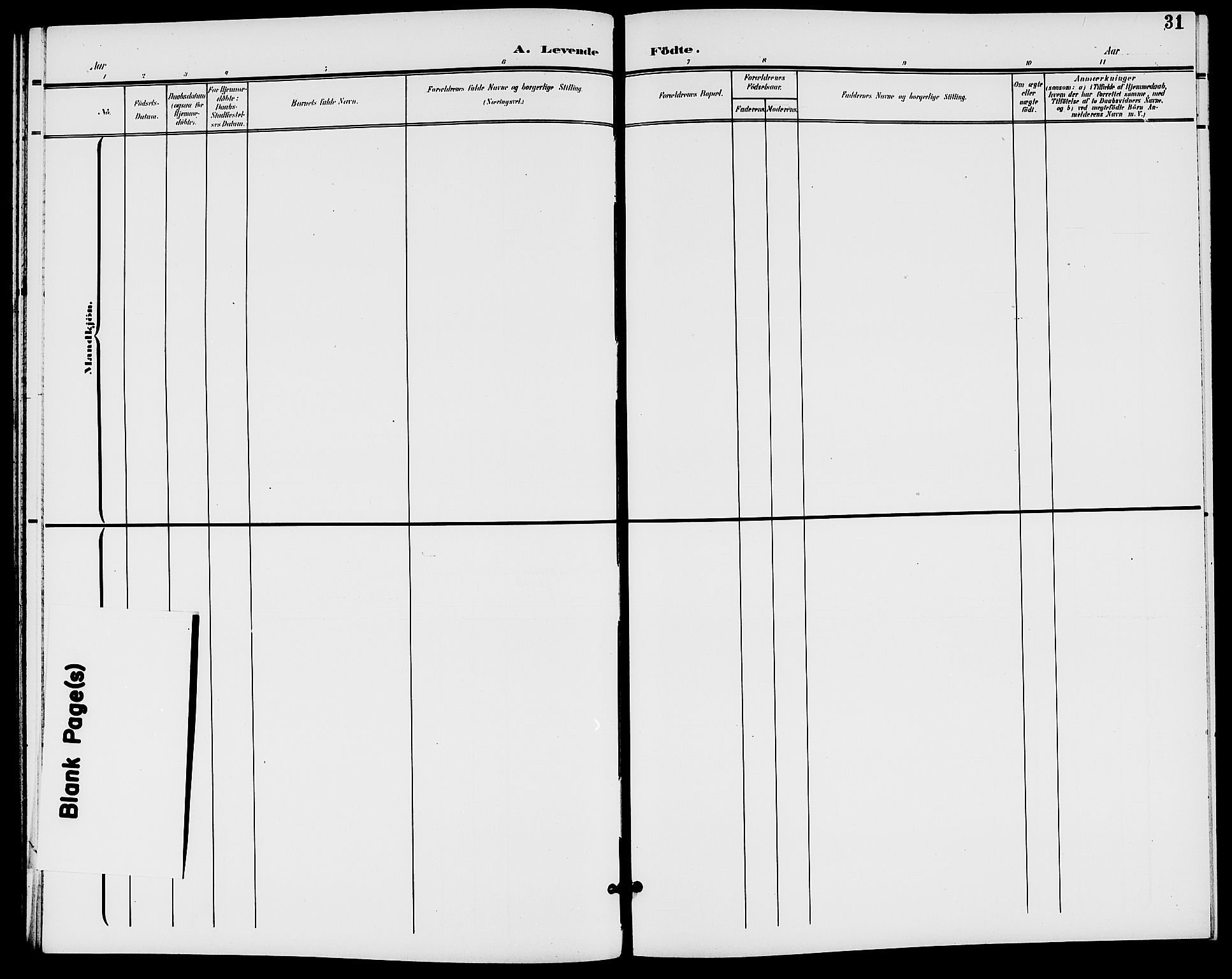 Rødenes prestekontor Kirkebøker, AV/SAO-A-2005/G/Ga/L0002: Klokkerbok nr. I 2, 1901-1910, s. 31