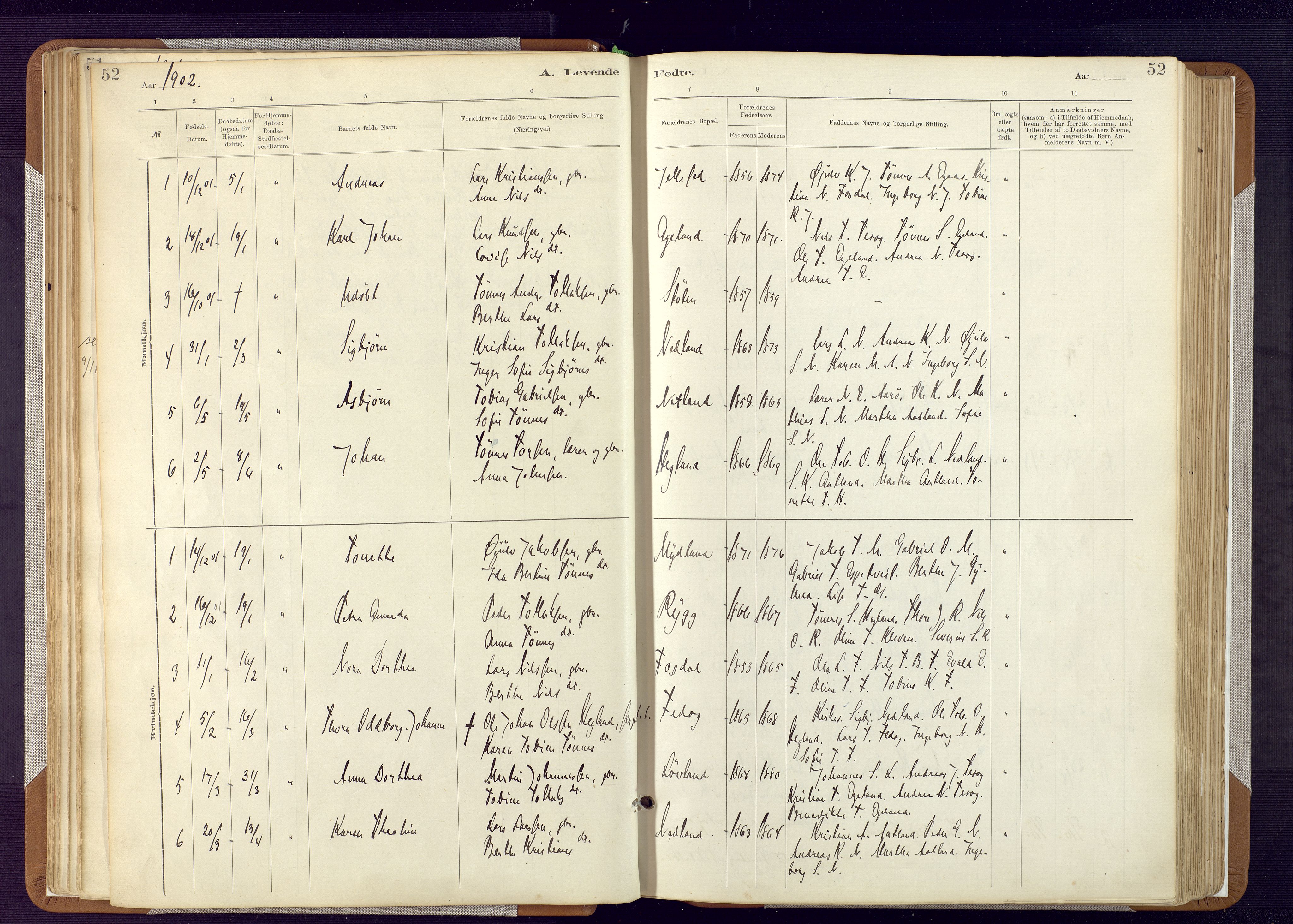 Bakke sokneprestkontor, AV/SAK-1111-0002/F/Fa/Fab/L0003: Ministerialbok nr. A 3, 1884-1921, s. 52