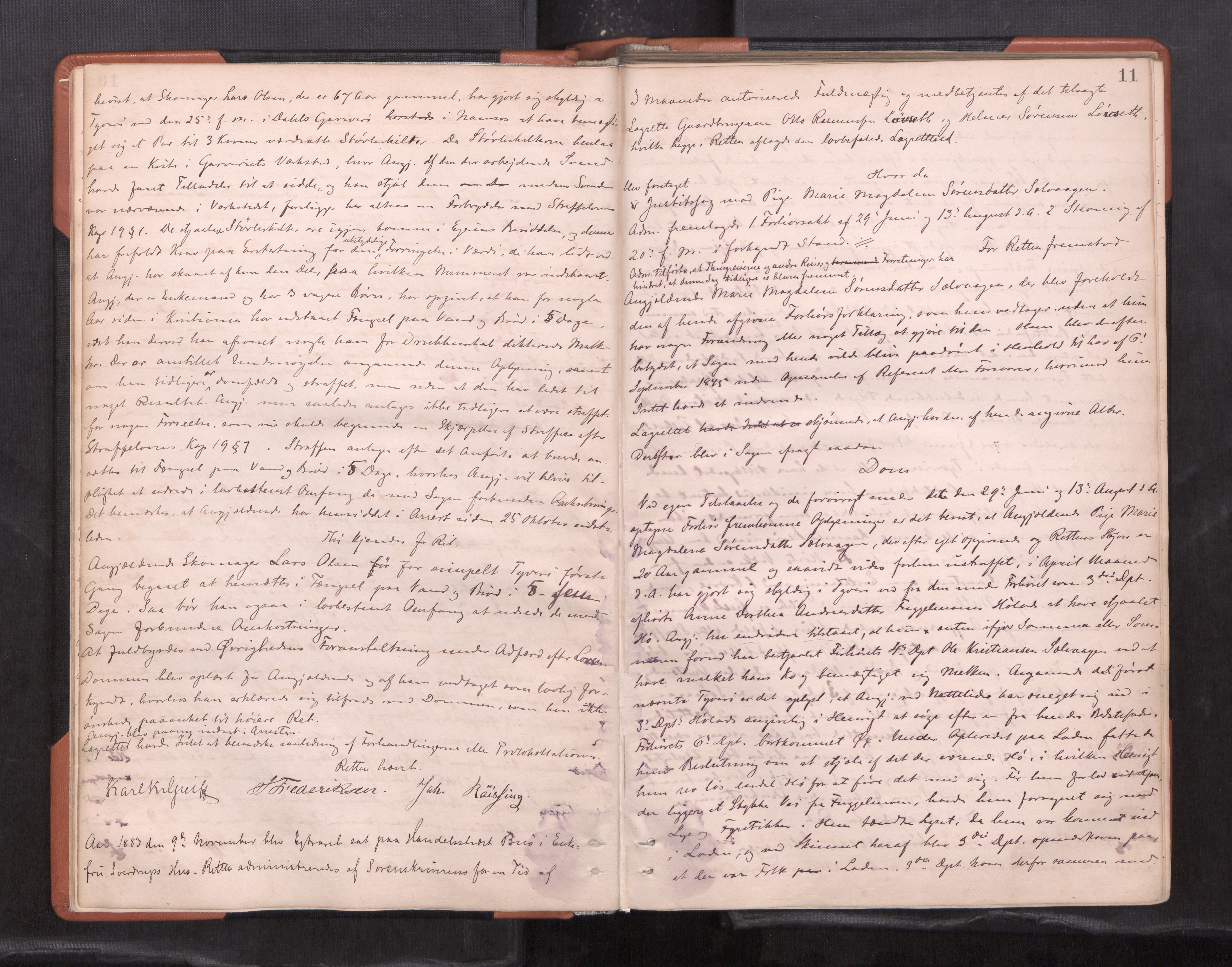 Namdal sorenskriveri, AV/SAT-A-4133/1/1/1B/L0016: Ekstrarettsprotokoll nr. 14, 1883-1894, s. 10b-11a