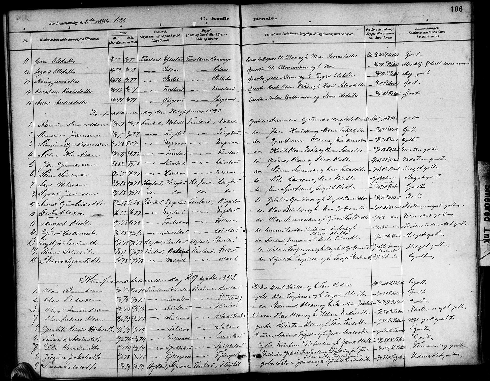 Bjelland sokneprestkontor, AV/SAK-1111-0005/F/Fb/Fbb/L0005: Klokkerbok nr. B 5, 1887-1918, s. 106