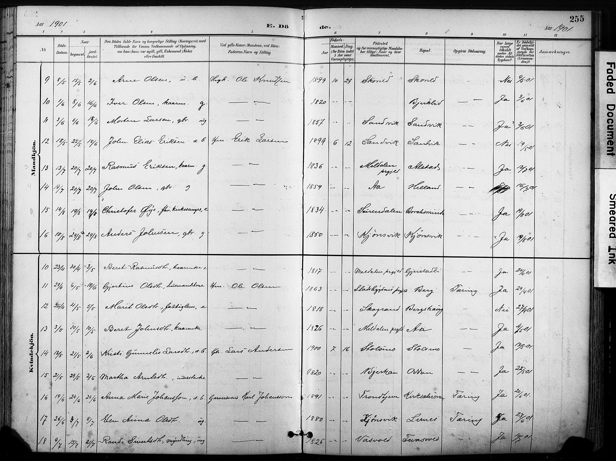 Ministerialprotokoller, klokkerbøker og fødselsregistre - Sør-Trøndelag, SAT/A-1456/630/L0497: Ministerialbok nr. 630A10, 1896-1910, s. 255