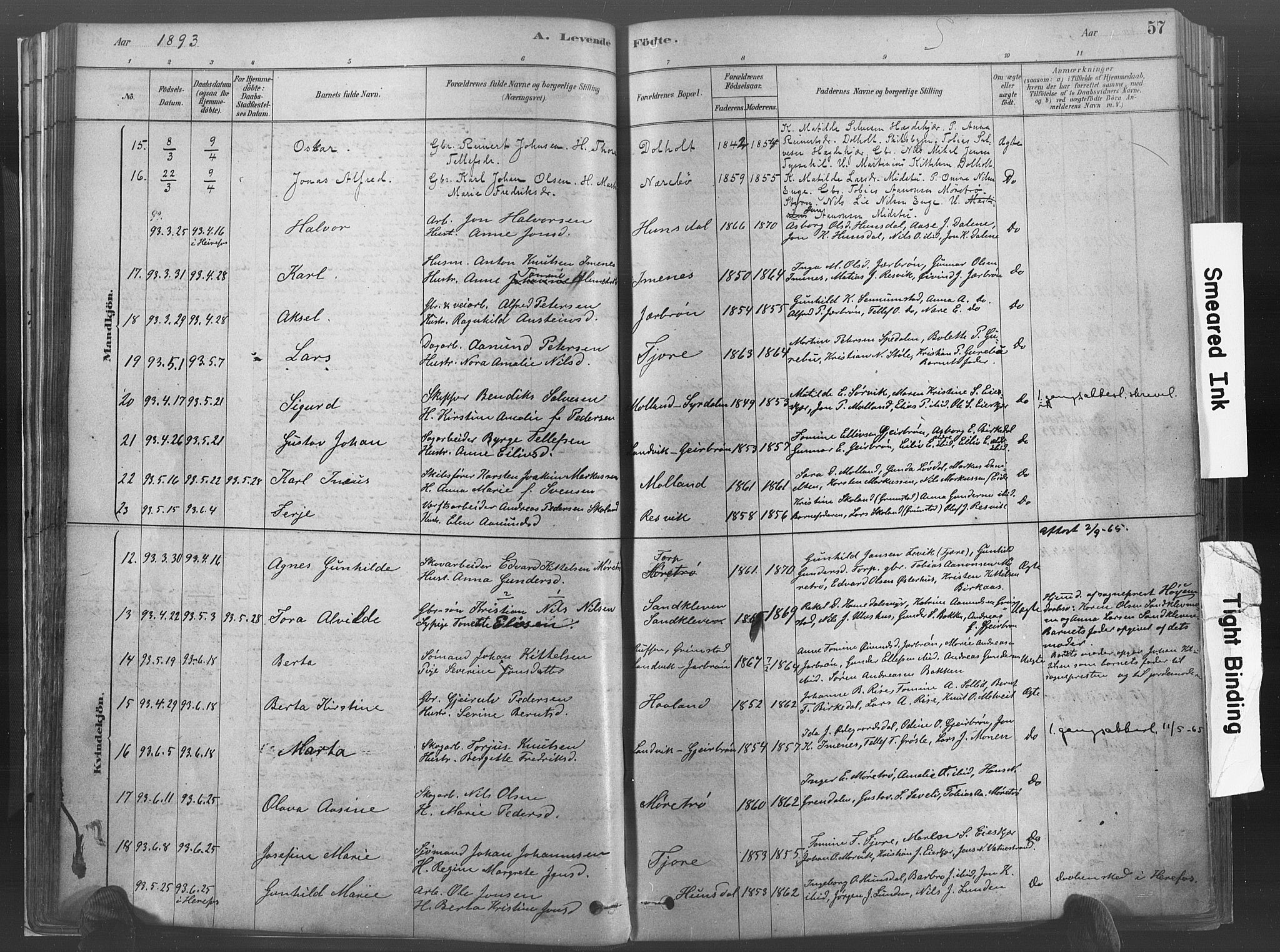 Hommedal sokneprestkontor, AV/SAK-1111-0023/F/Fa/Fab/L0006: Ministerialbok nr. A 6, 1878-1897, s. 57