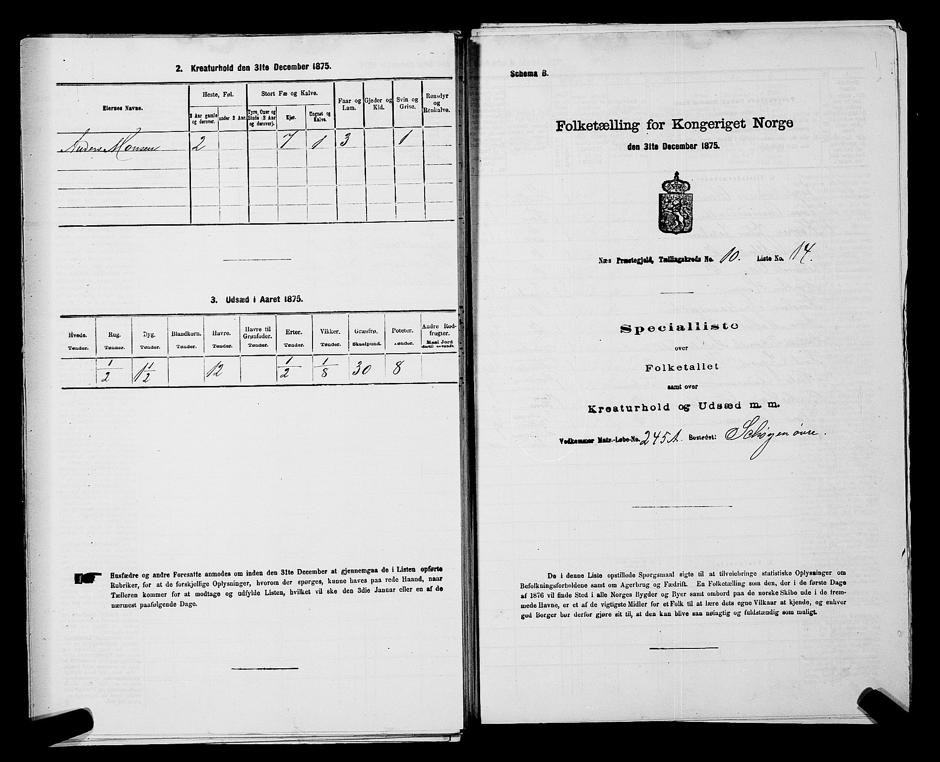 RA, Folketelling 1875 for 0236P Nes prestegjeld, 1875, s. 1871