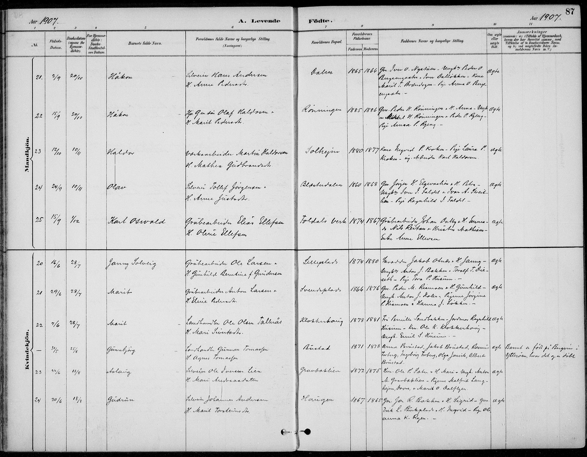 Alvdal prestekontor, SAH/PREST-060/H/Ha/Haa/L0003: Ministerialbok nr. 3, 1886-1912, s. 87