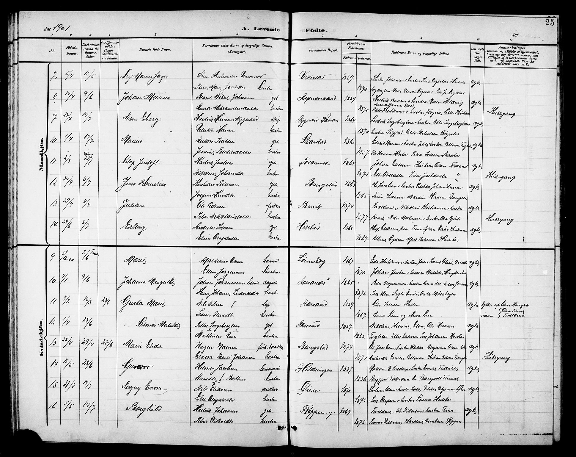Ministerialprotokoller, klokkerbøker og fødselsregistre - Nordland, AV/SAT-A-1459/810/L0161: Klokkerbok nr. 810C04, 1897-1910, s. 25