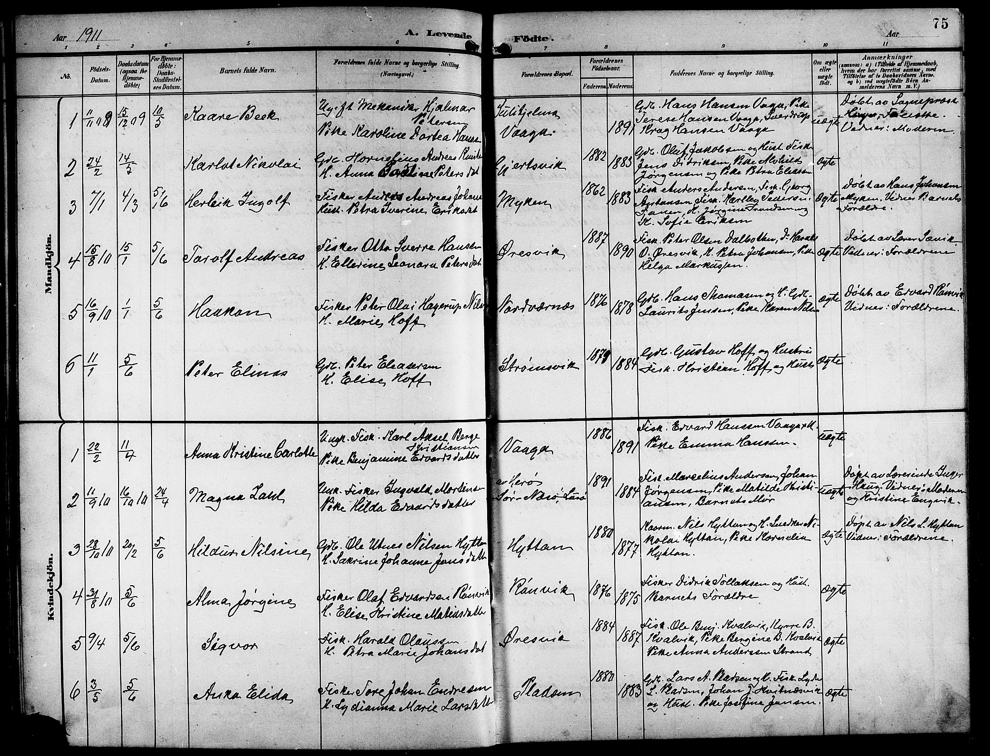 Ministerialprotokoller, klokkerbøker og fødselsregistre - Nordland, SAT/A-1459/841/L0621: Klokkerbok nr. 841C05, 1897-1923, s. 75