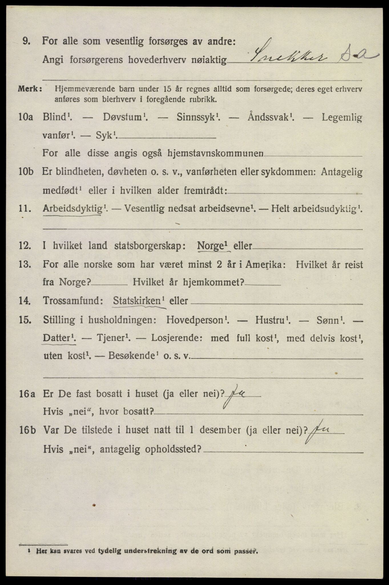 SAKO, Folketelling 1920 for 0726 Brunlanes herred, 1920, s. 9228