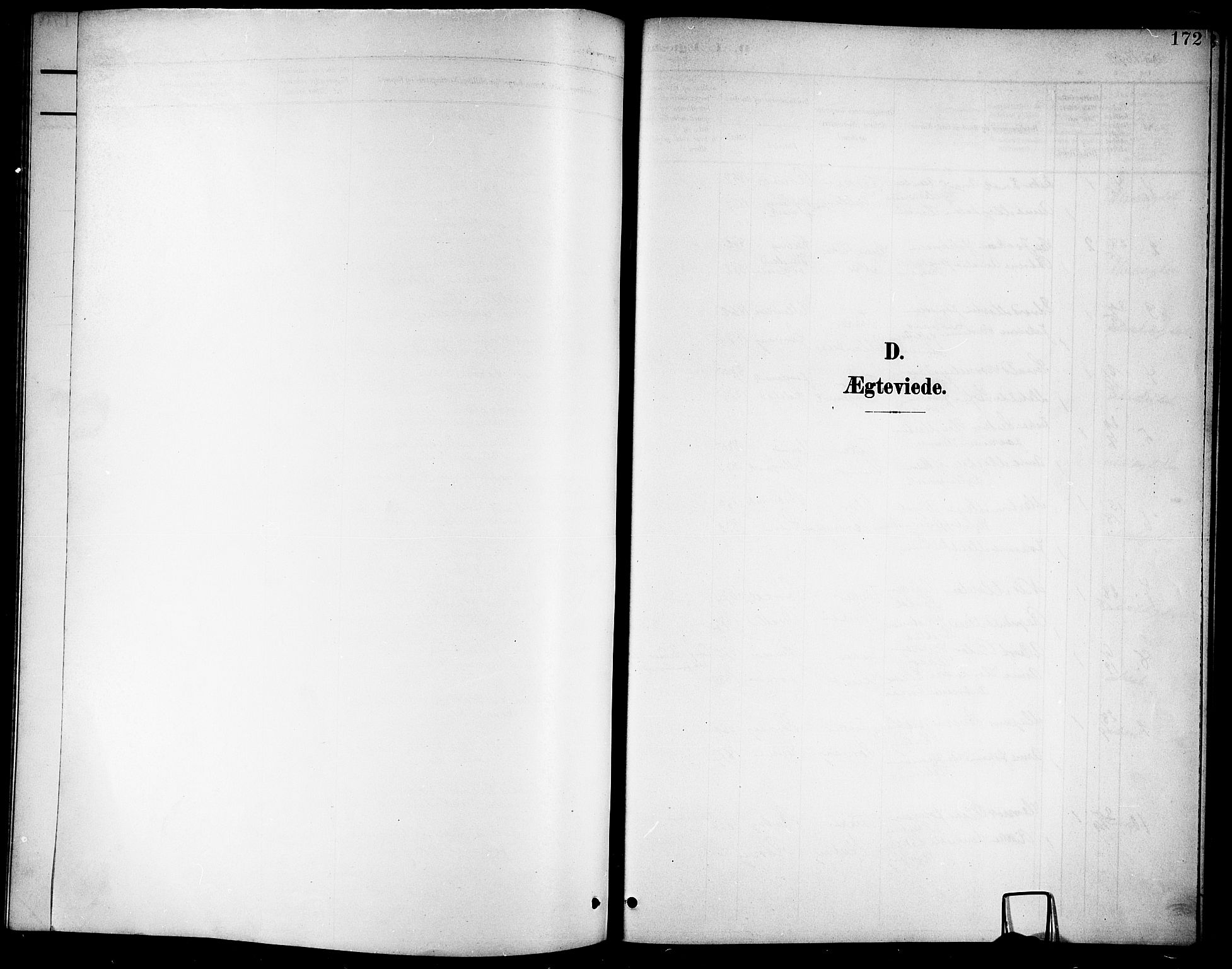Ministerialprotokoller, klokkerbøker og fødselsregistre - Nordland, AV/SAT-A-1459/859/L0860: Klokkerbok nr. 859C06, 1899-1909, s. 172