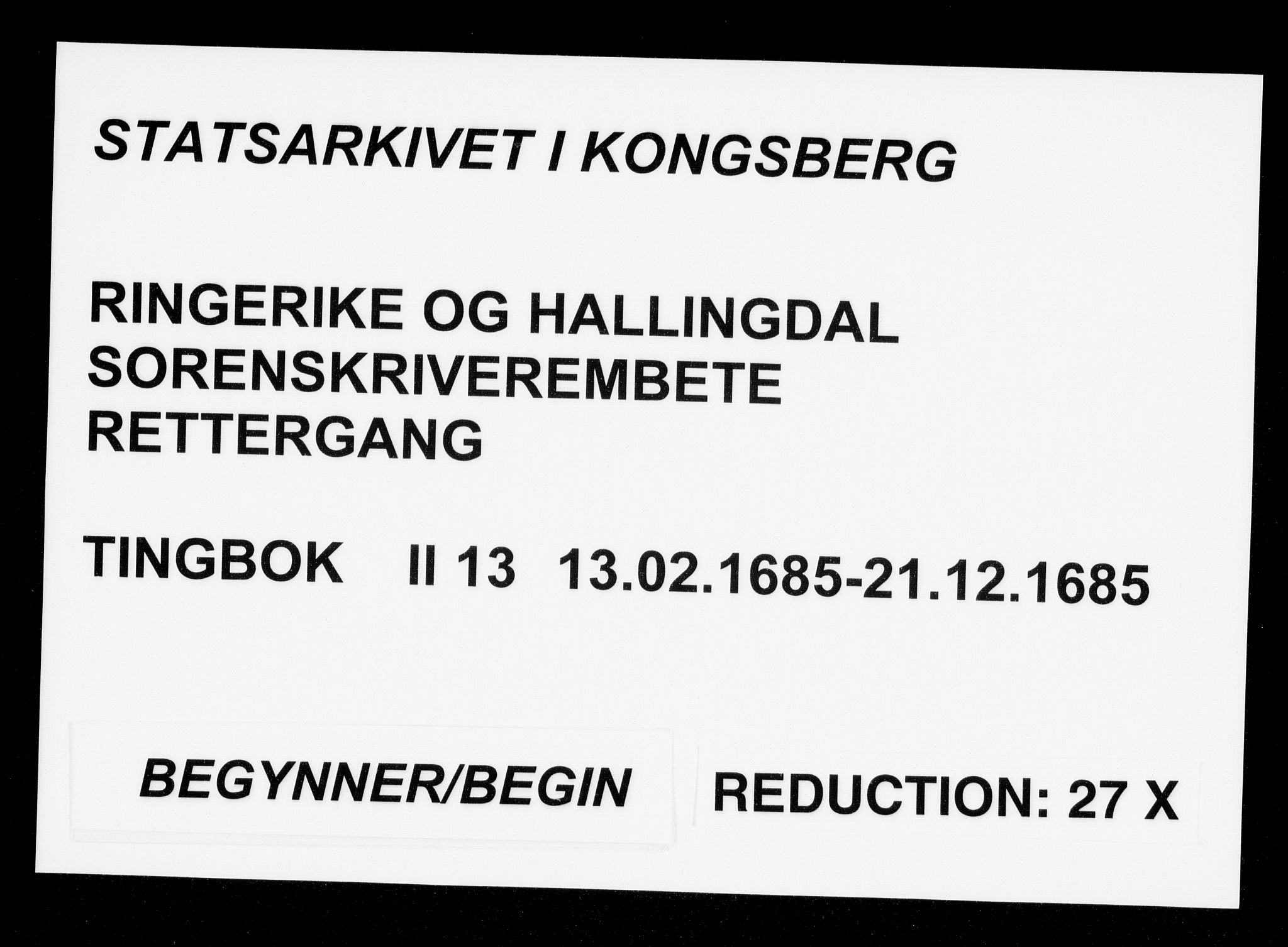 Ringerike og Hallingdal sorenskriveri, AV/SAKO-A-81/F/Fa/Fab/L0013: Tingbok - Sorenskriveriet, 1685