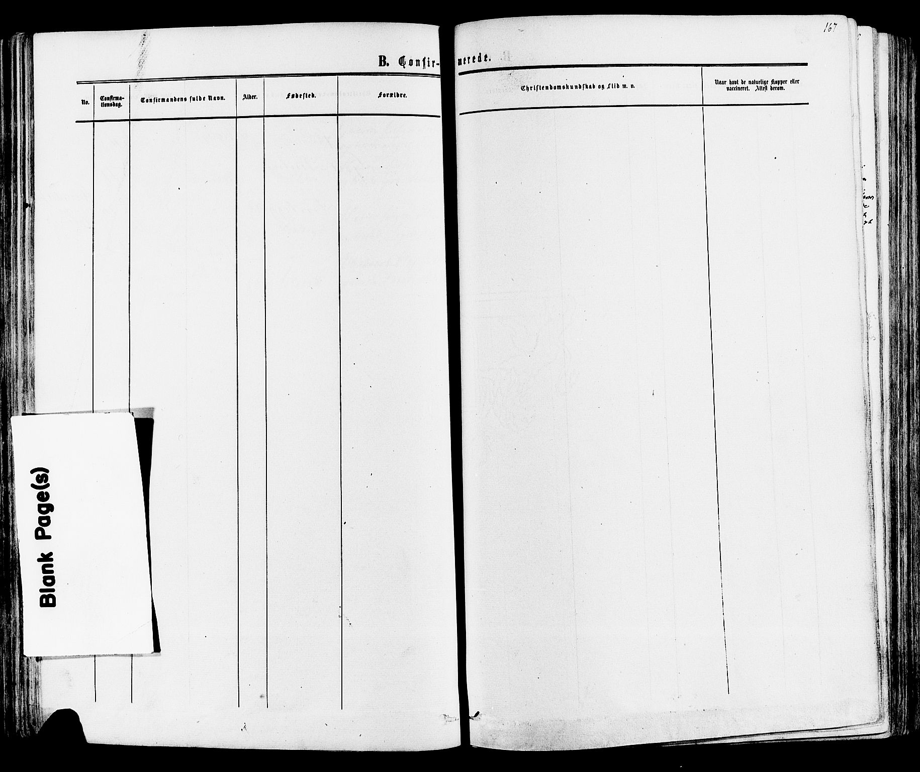Mo kirkebøker, SAKO/A-286/F/Fa/L0006: Ministerialbok nr. I 6, 1865-1885, s. 167