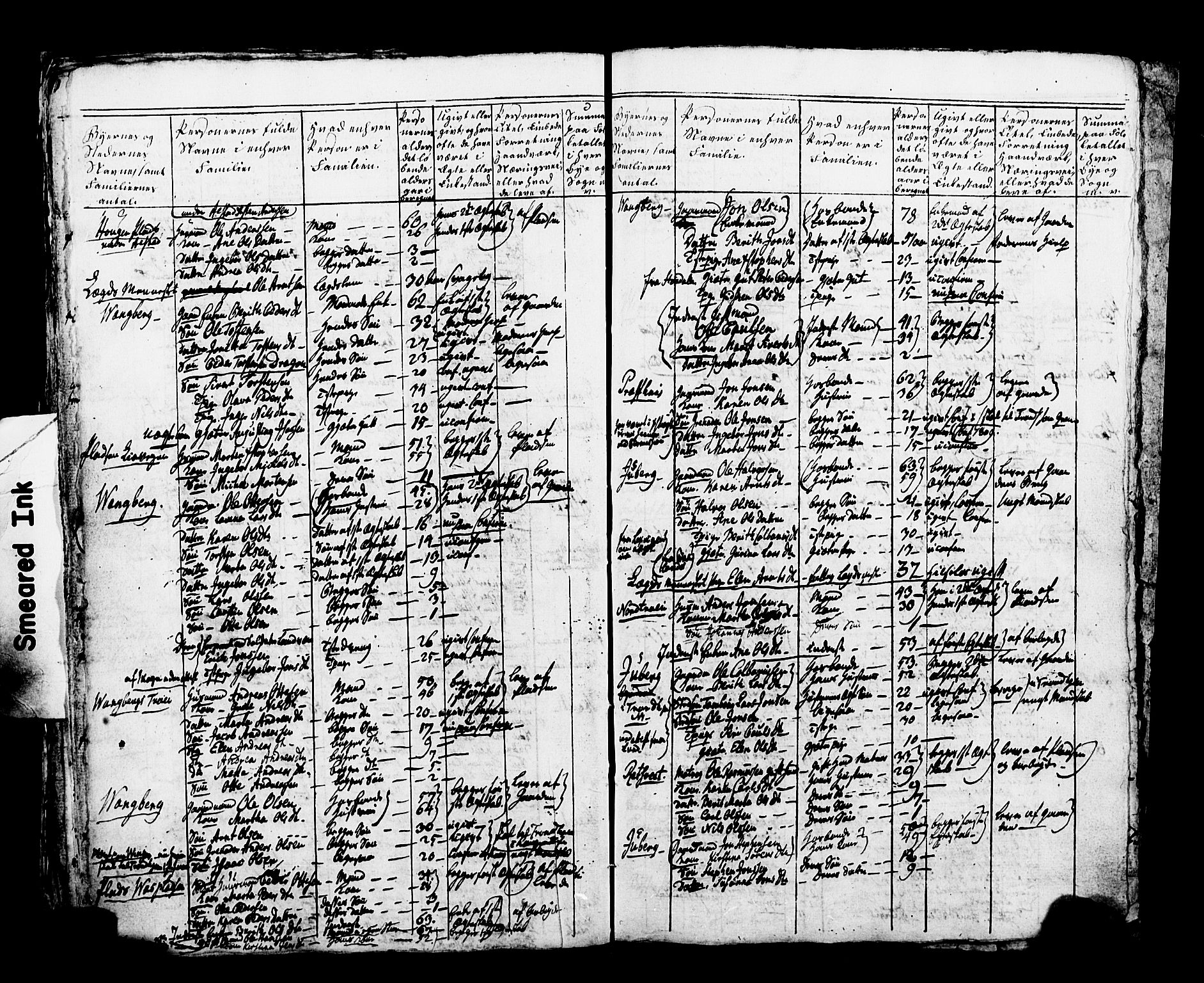 SAT, Lokal folketelling 1810 for Frosta prestegjeld, 1717S1 Frosta sokn, 1810, s. 10