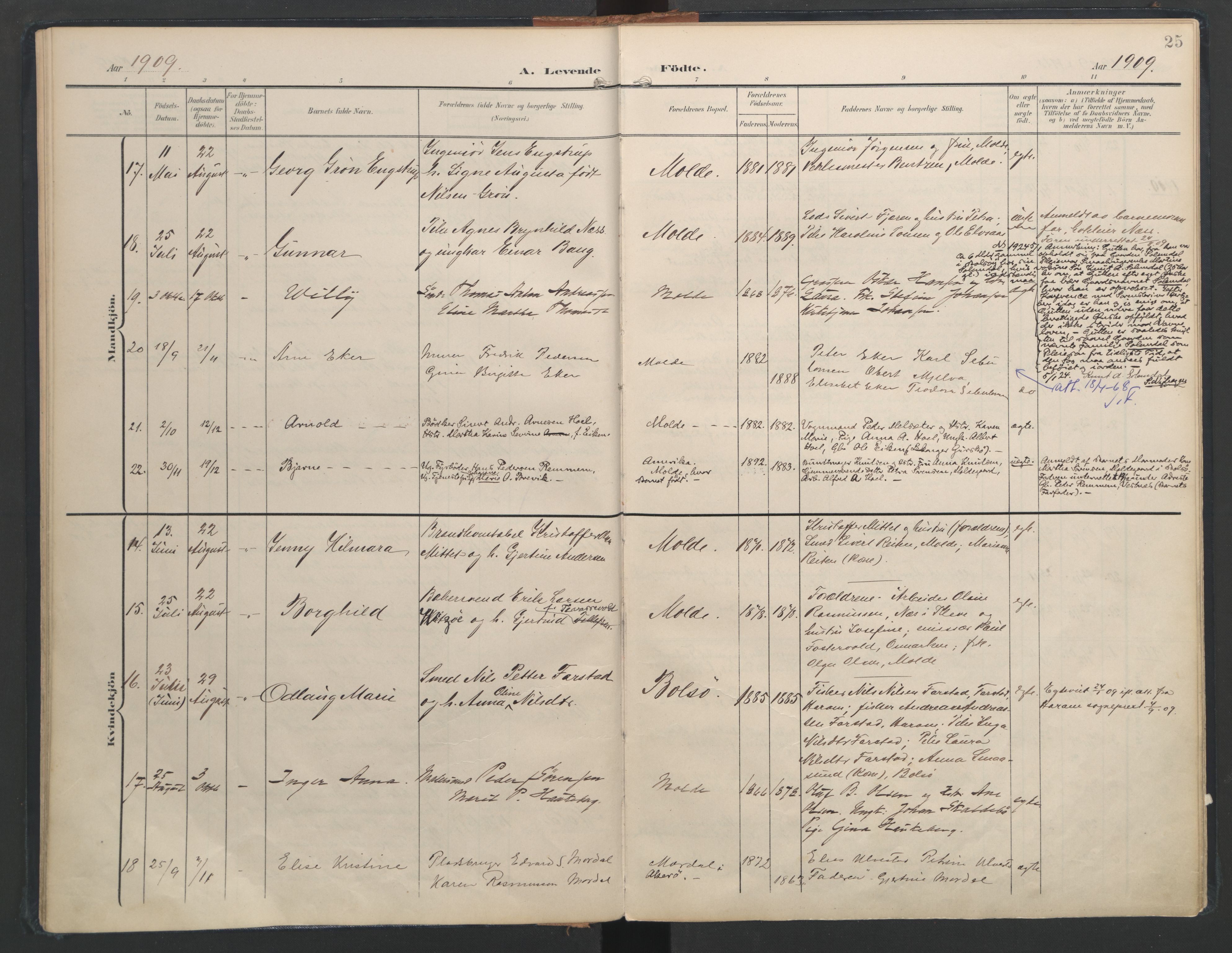 Ministerialprotokoller, klokkerbøker og fødselsregistre - Møre og Romsdal, AV/SAT-A-1454/558/L0693: Ministerialbok nr. 558A07, 1903-1917, s. 25