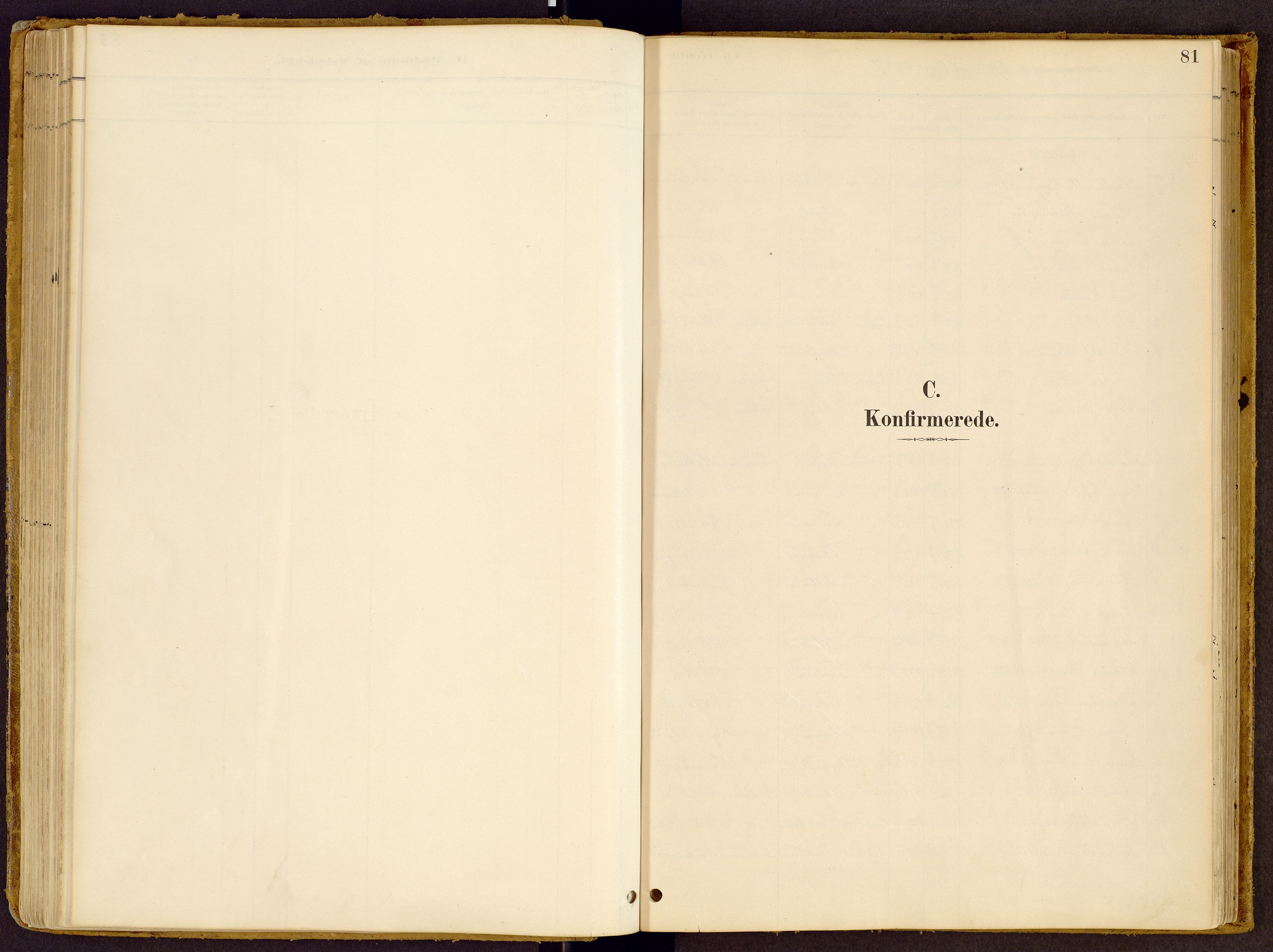 Vestre Gausdal prestekontor, SAH/PREST-094/H/Ha/Haa/L0002: Ministerialbok nr. 2, 1887-1918, s. 81