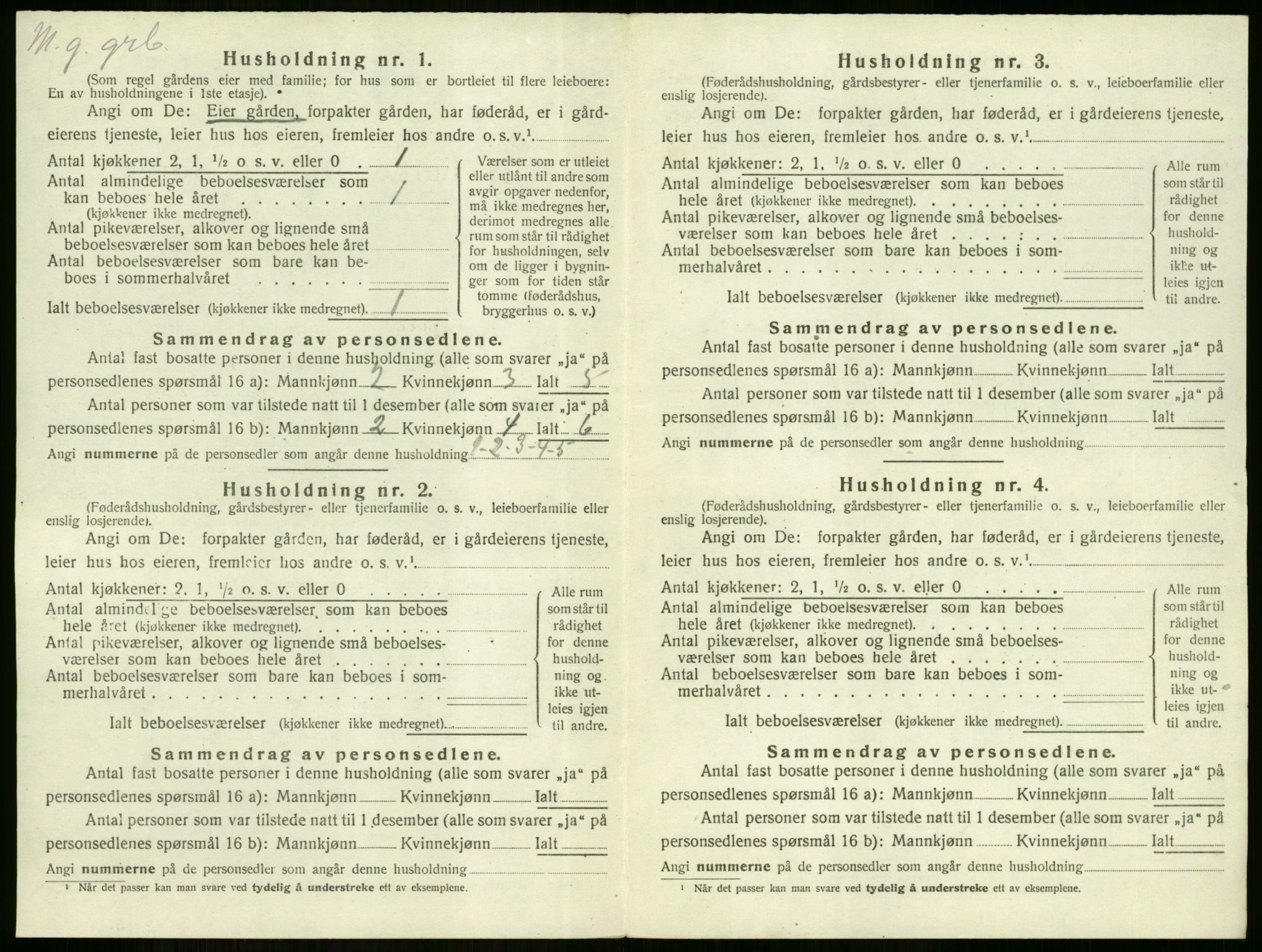 SAKO, Folketelling 1920 for 0612 Hole herred, 1920, s. 466