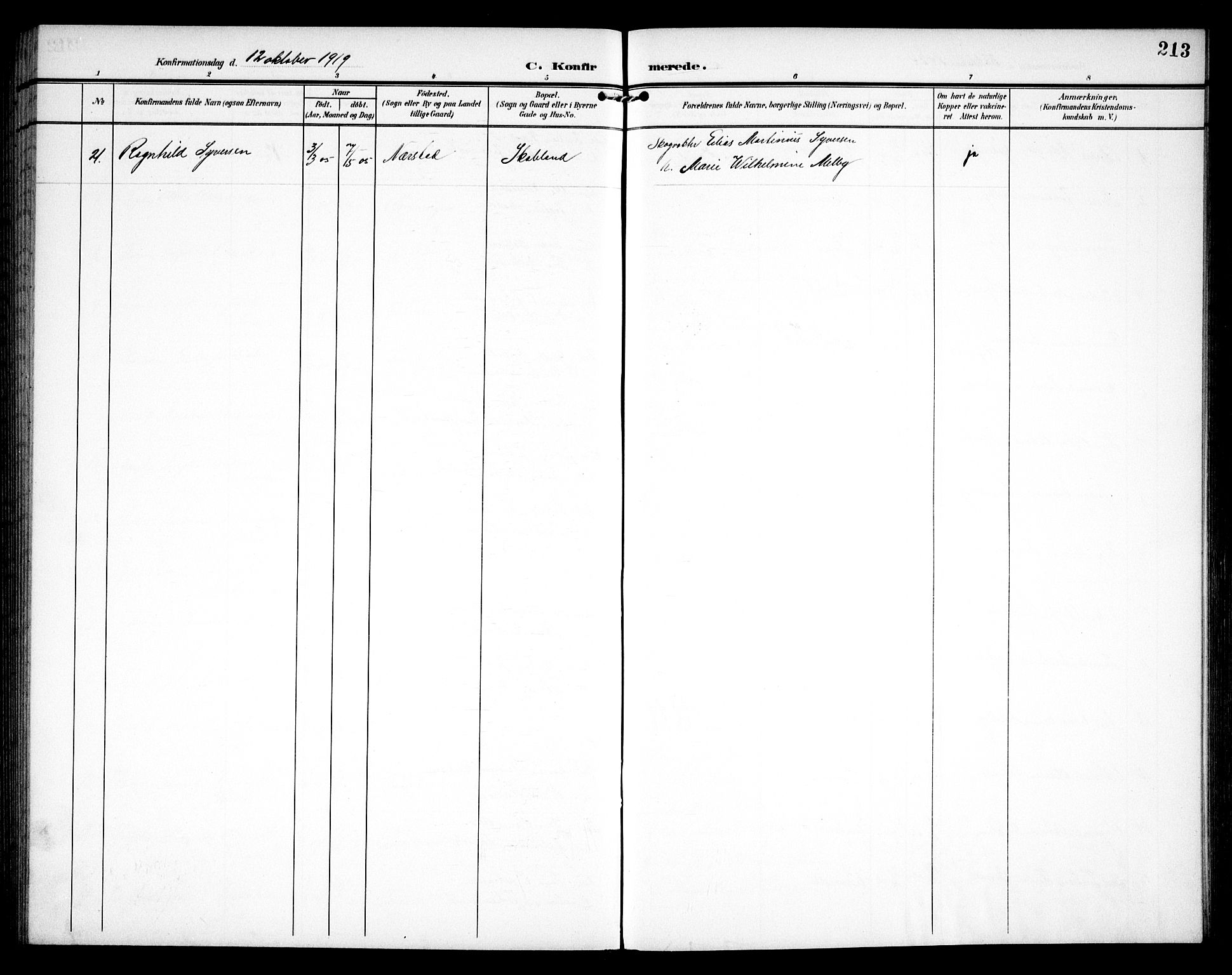 Hurdal prestekontor Kirkebøker, AV/SAO-A-10889/G/Ga/L0001: Klokkerbok nr. I 1, 1902-1934, s. 213