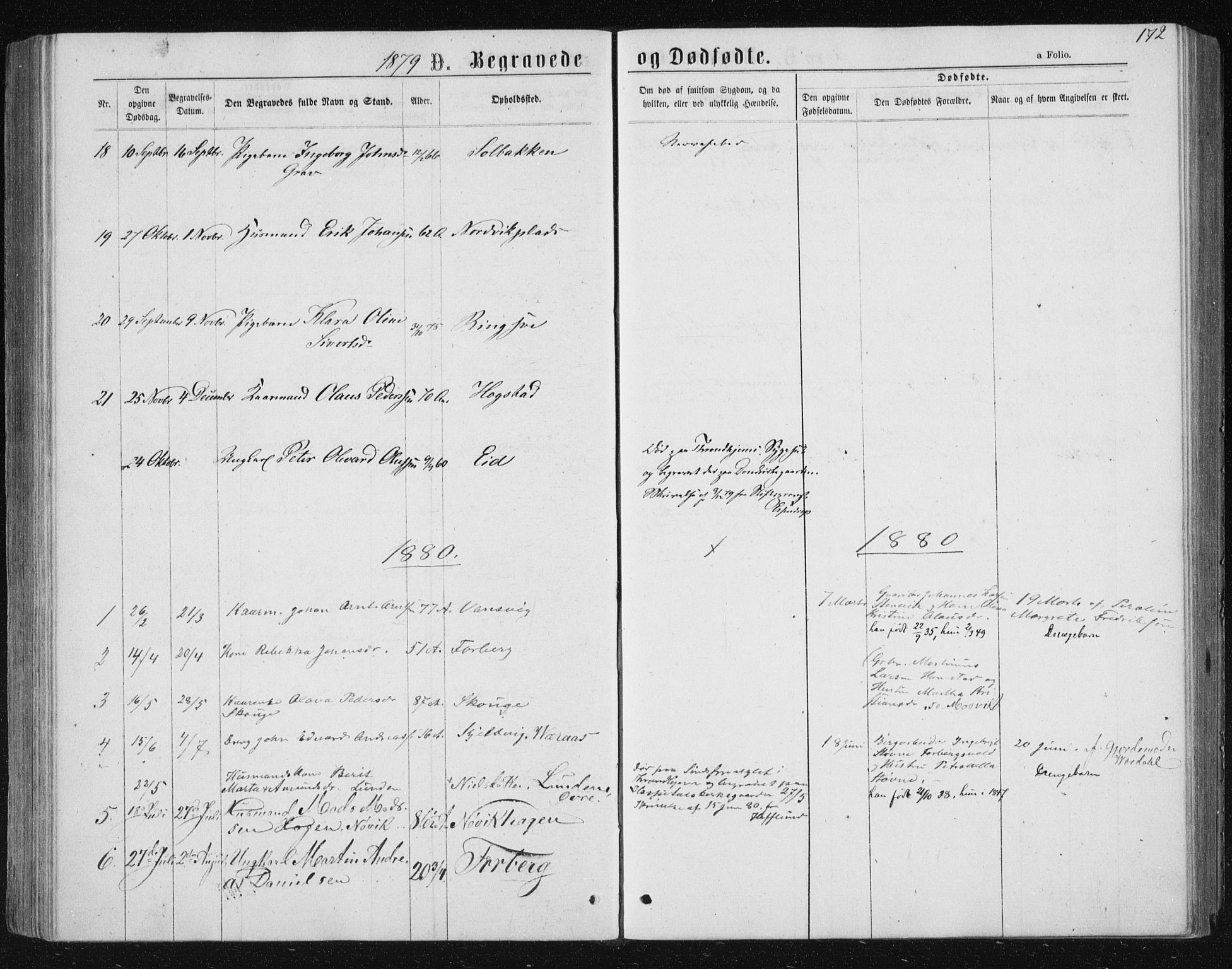 Ministerialprotokoller, klokkerbøker og fødselsregistre - Nord-Trøndelag, SAT/A-1458/722/L0219: Ministerialbok nr. 722A06, 1868-1880, s. 172