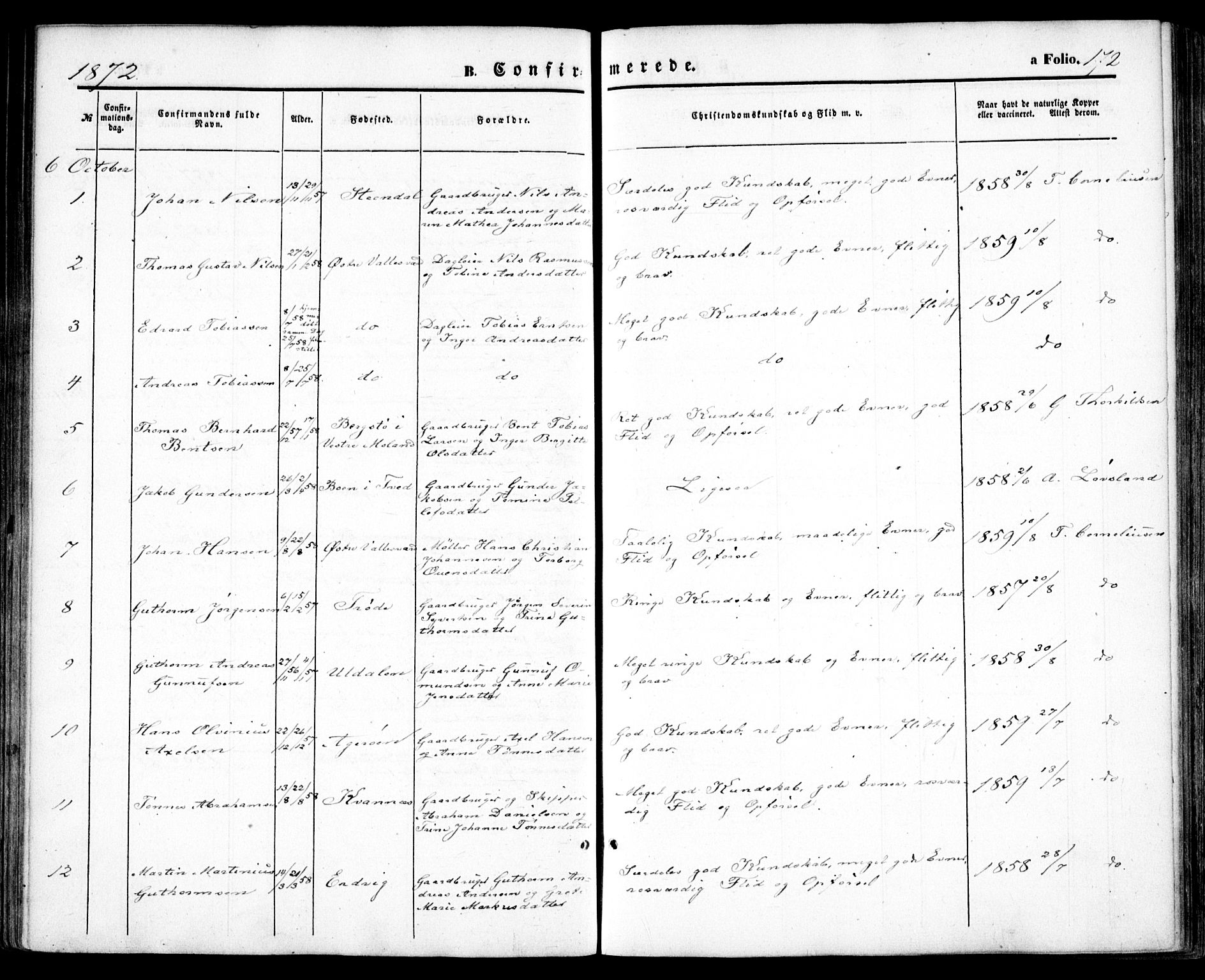 Høvåg sokneprestkontor, SAK/1111-0025/F/Fa/L0004: Ministerialbok nr. A 4, 1859-1877, s. 172