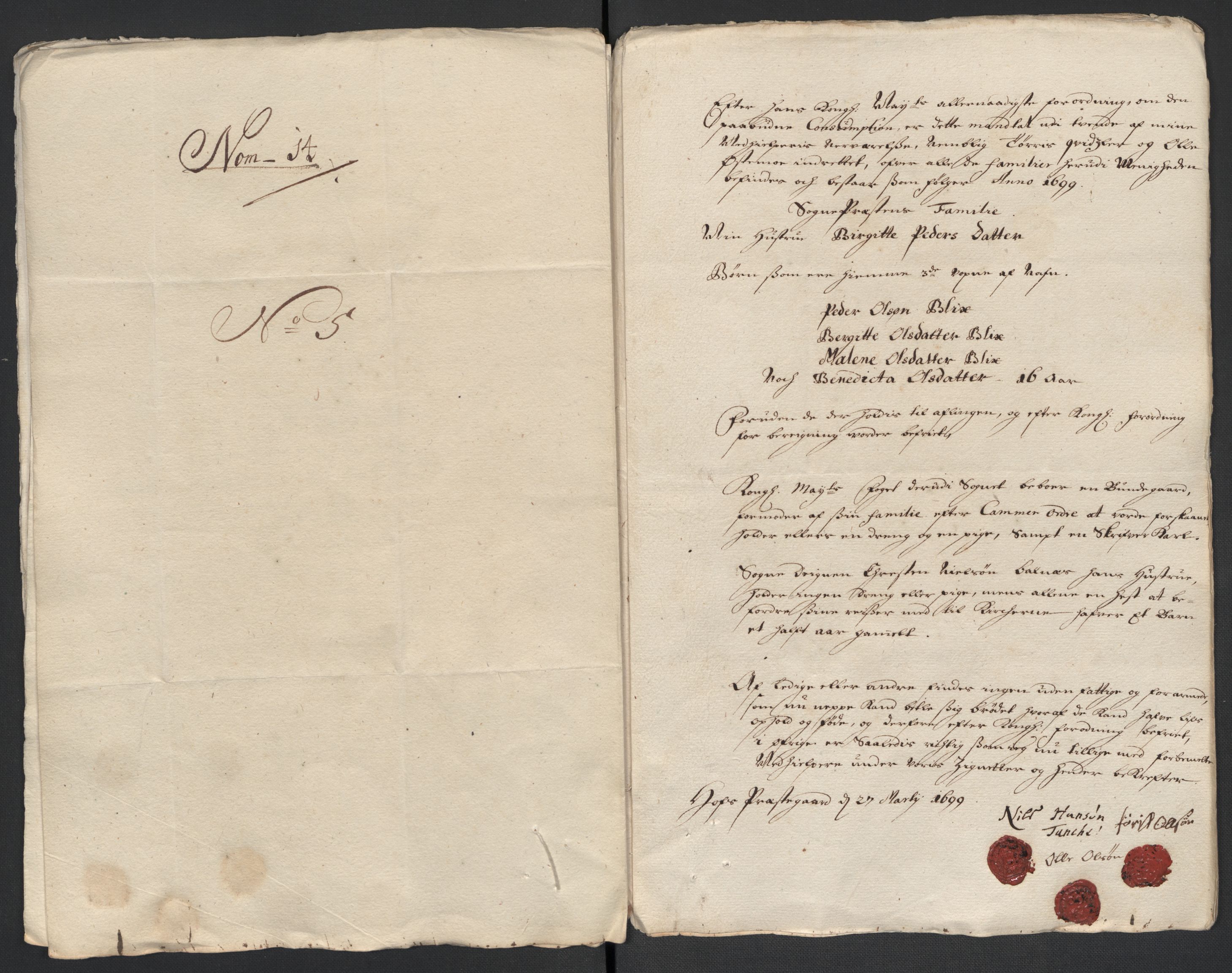 Rentekammeret inntil 1814, Reviderte regnskaper, Fogderegnskap, AV/RA-EA-4092/R13/L0837: Fogderegnskap Solør, Odal og Østerdal, 1699, s. 187