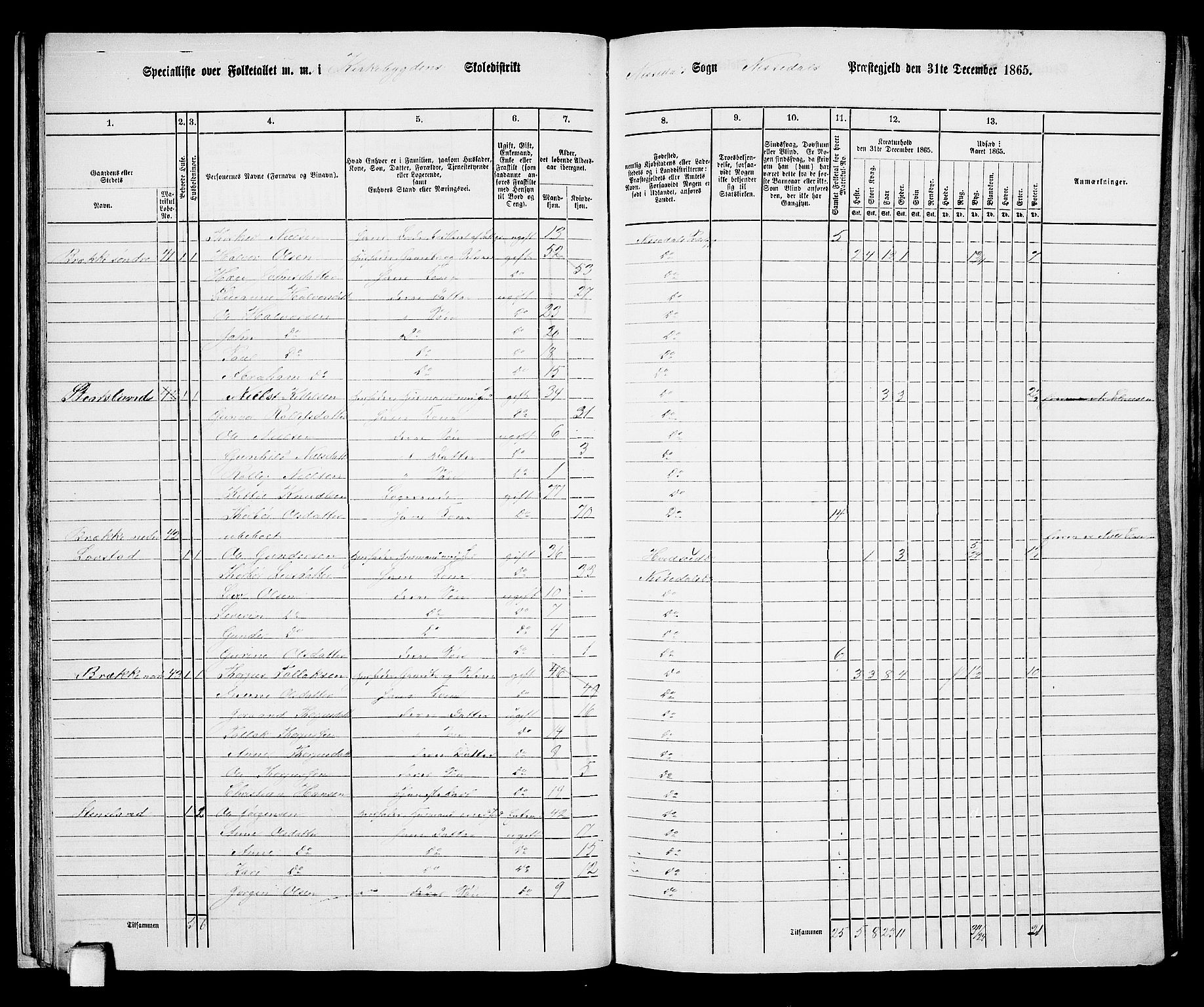 RA, Folketelling 1865 for 0830P Nissedal prestegjeld, 1865, s. 29