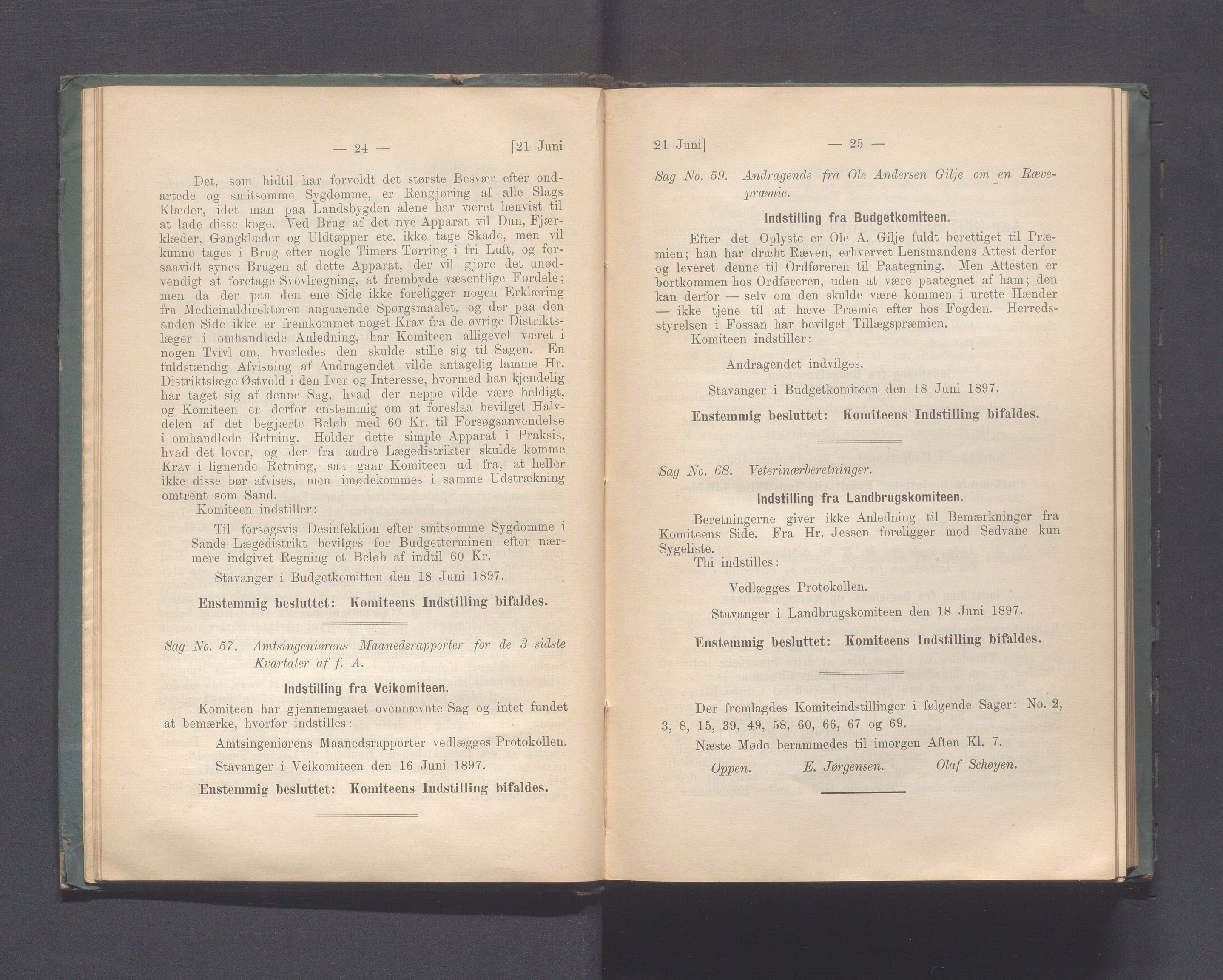 Rogaland fylkeskommune - Fylkesrådmannen , IKAR/A-900/A, 1897, s. 19