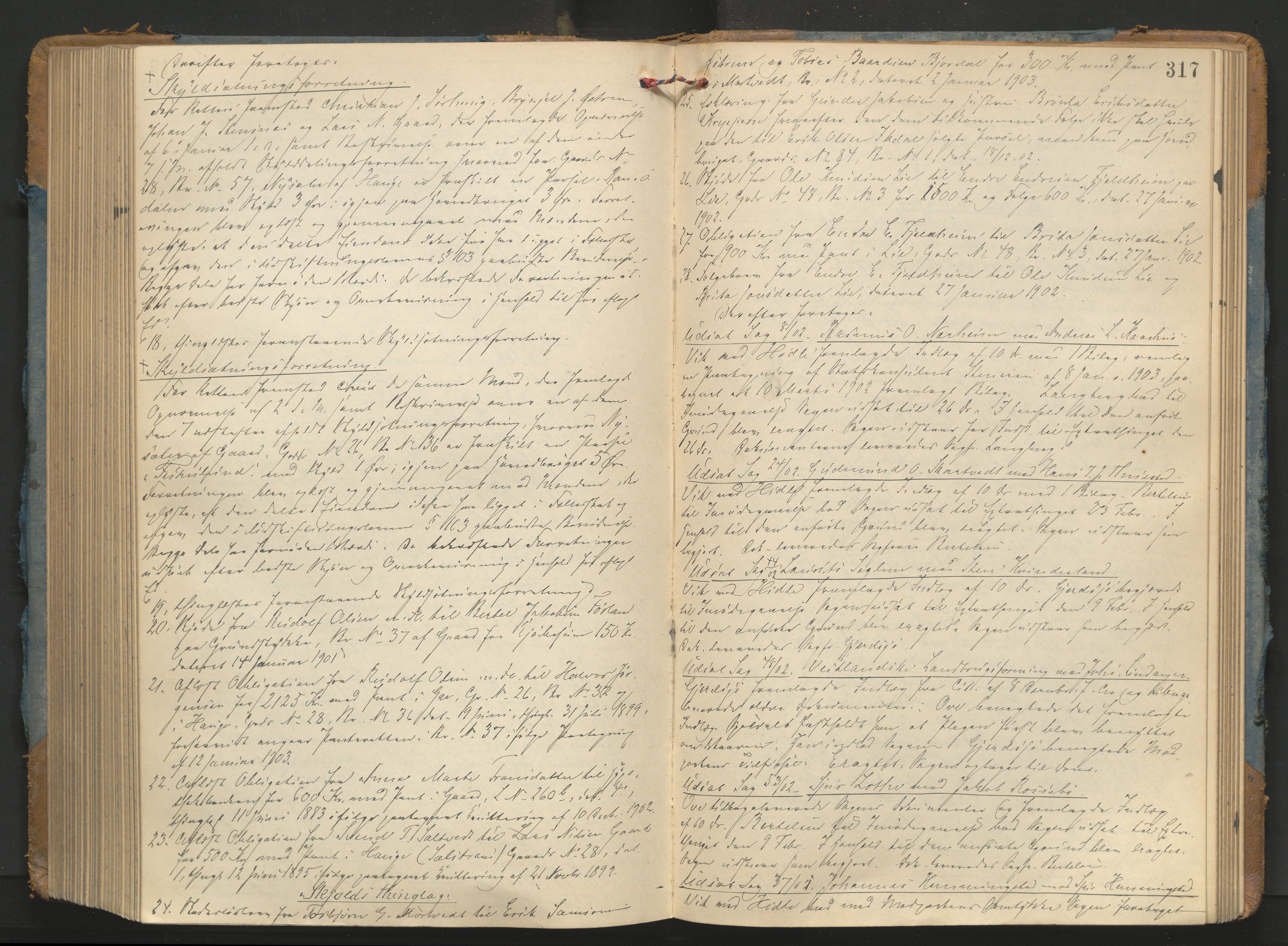 Karmsund sorenskriveri, AV/SAST-A-100311/01/I/IA/IAB/L0011: TINGBOK, 1898-1903, s. 316b-317a