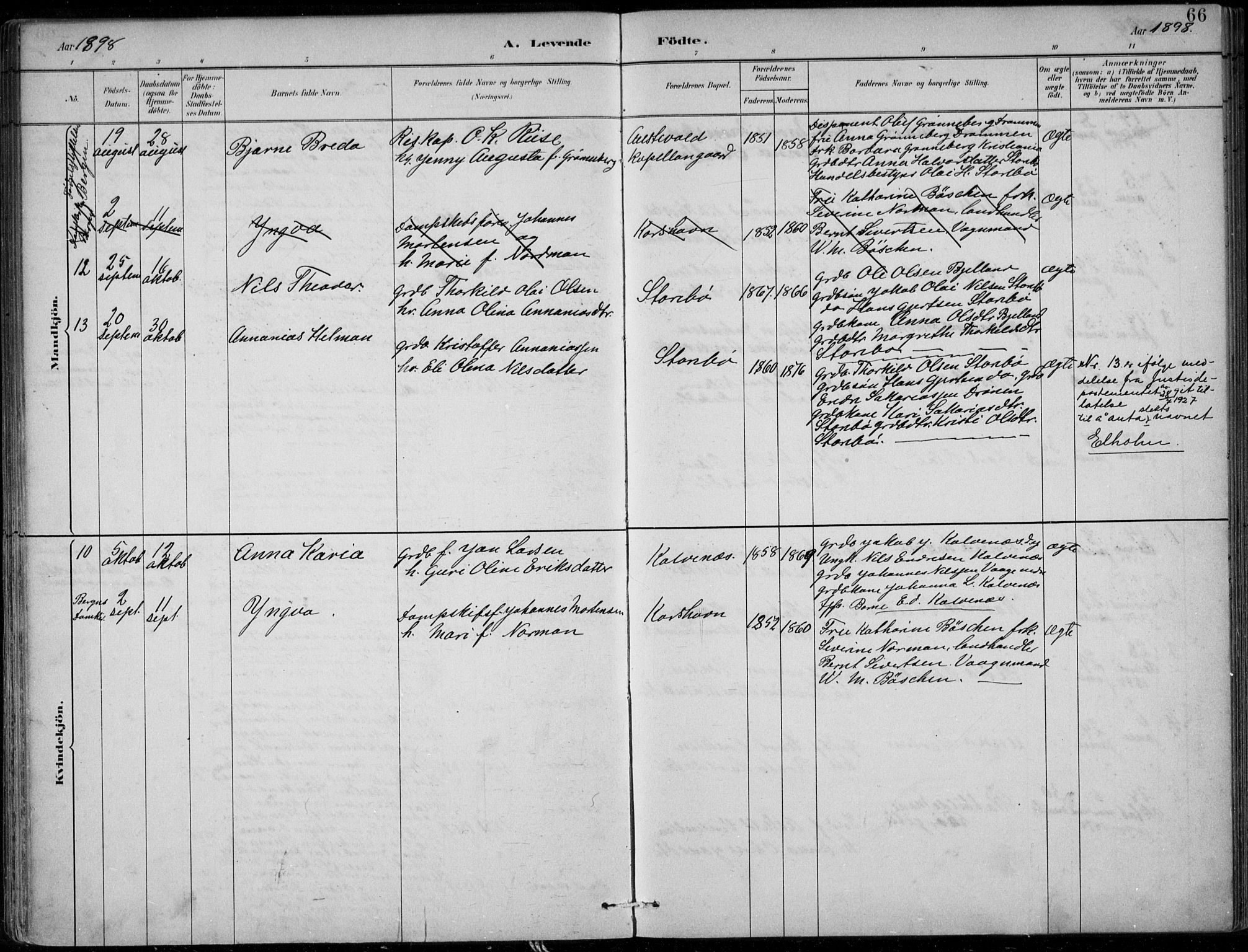 Sund sokneprestembete, AV/SAB-A-99930: Ministerialbok nr. C  1, 1882-1899, s. 66