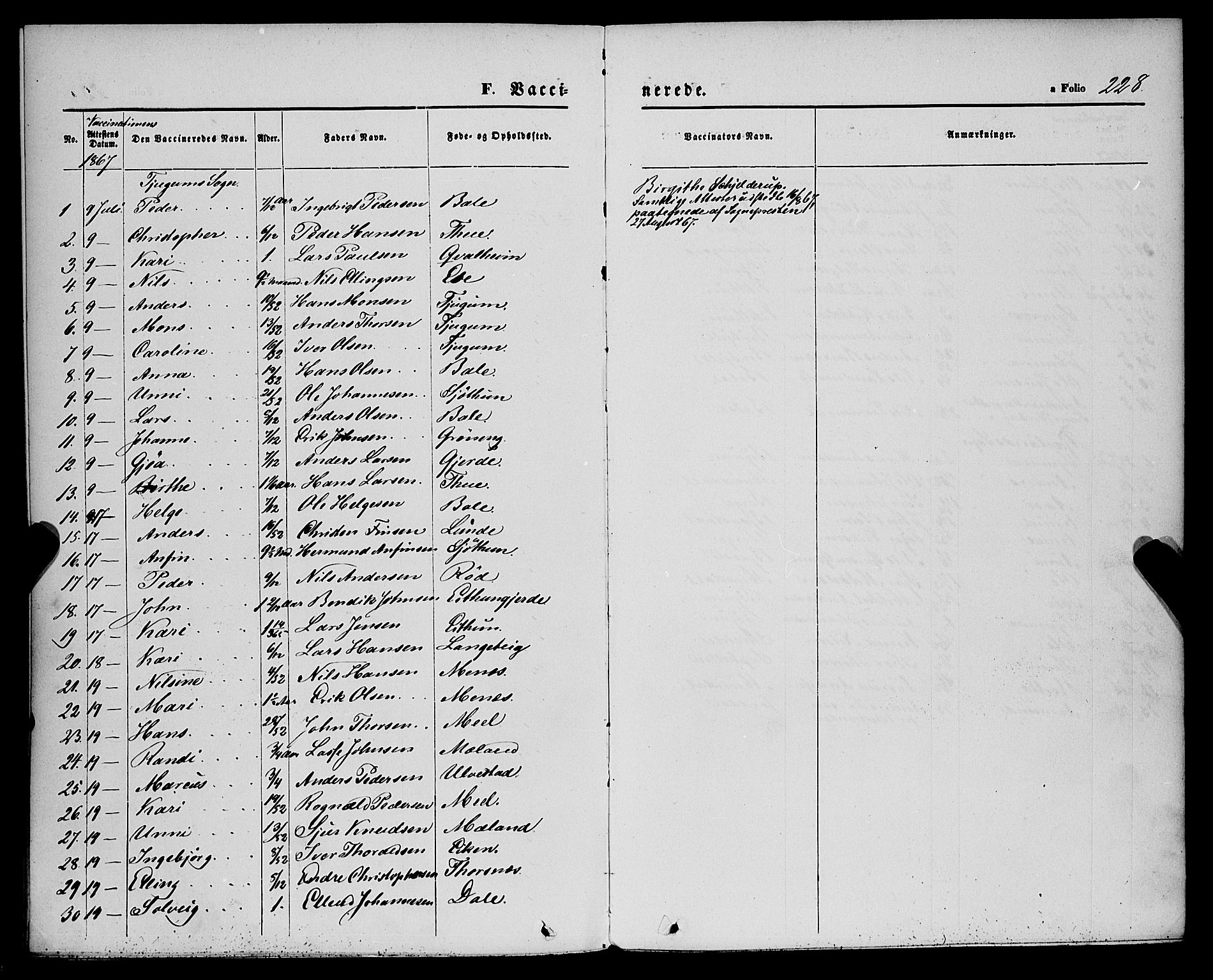 Balestrand sokneprestembete, AV/SAB-A-79601/H/Haa/Haaa/L0003: Ministerialbok nr. A 3, 1867-1878, s. 228